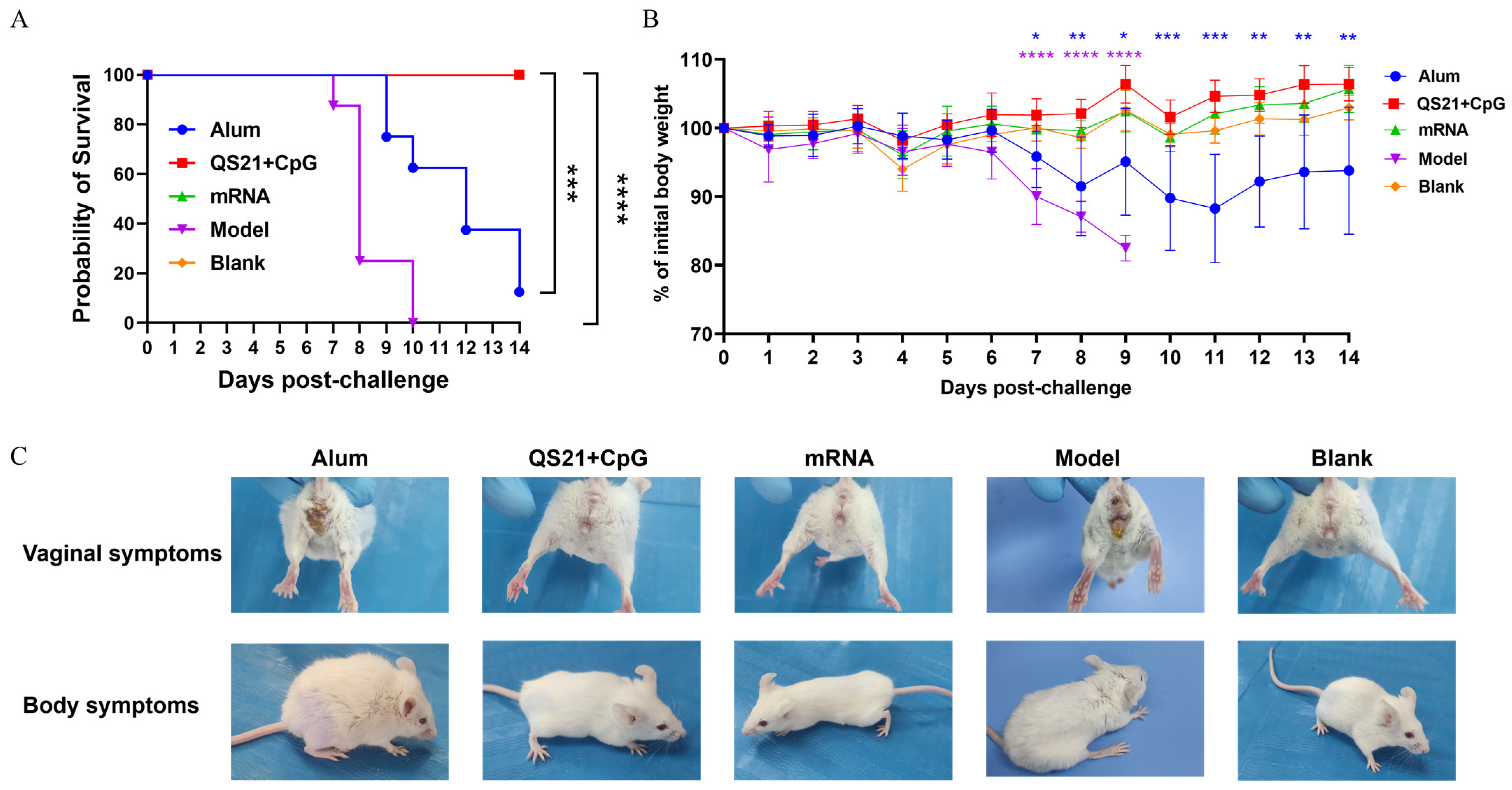 Vaccines 13 00497 g005
