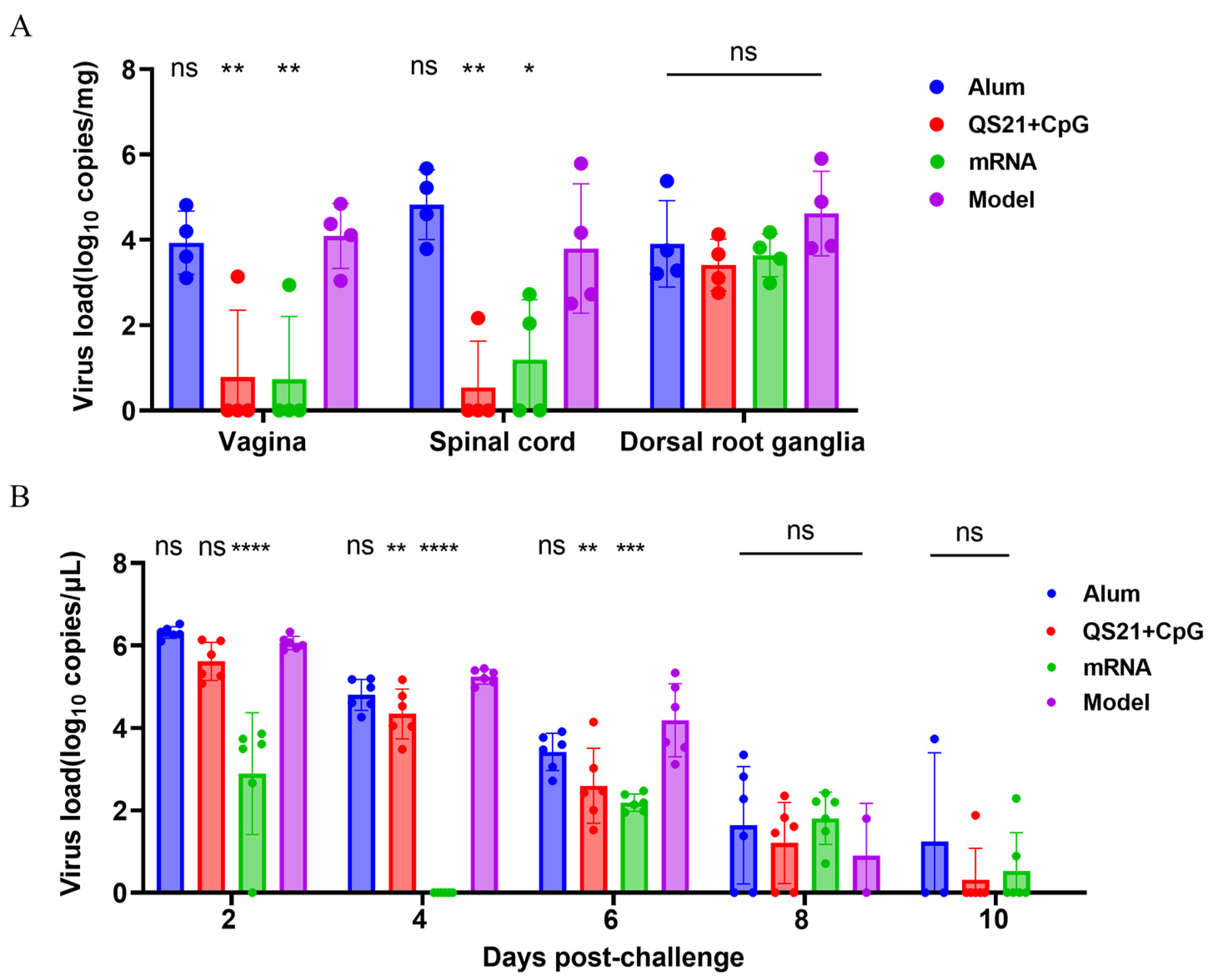 Vaccines 13 00497 g006