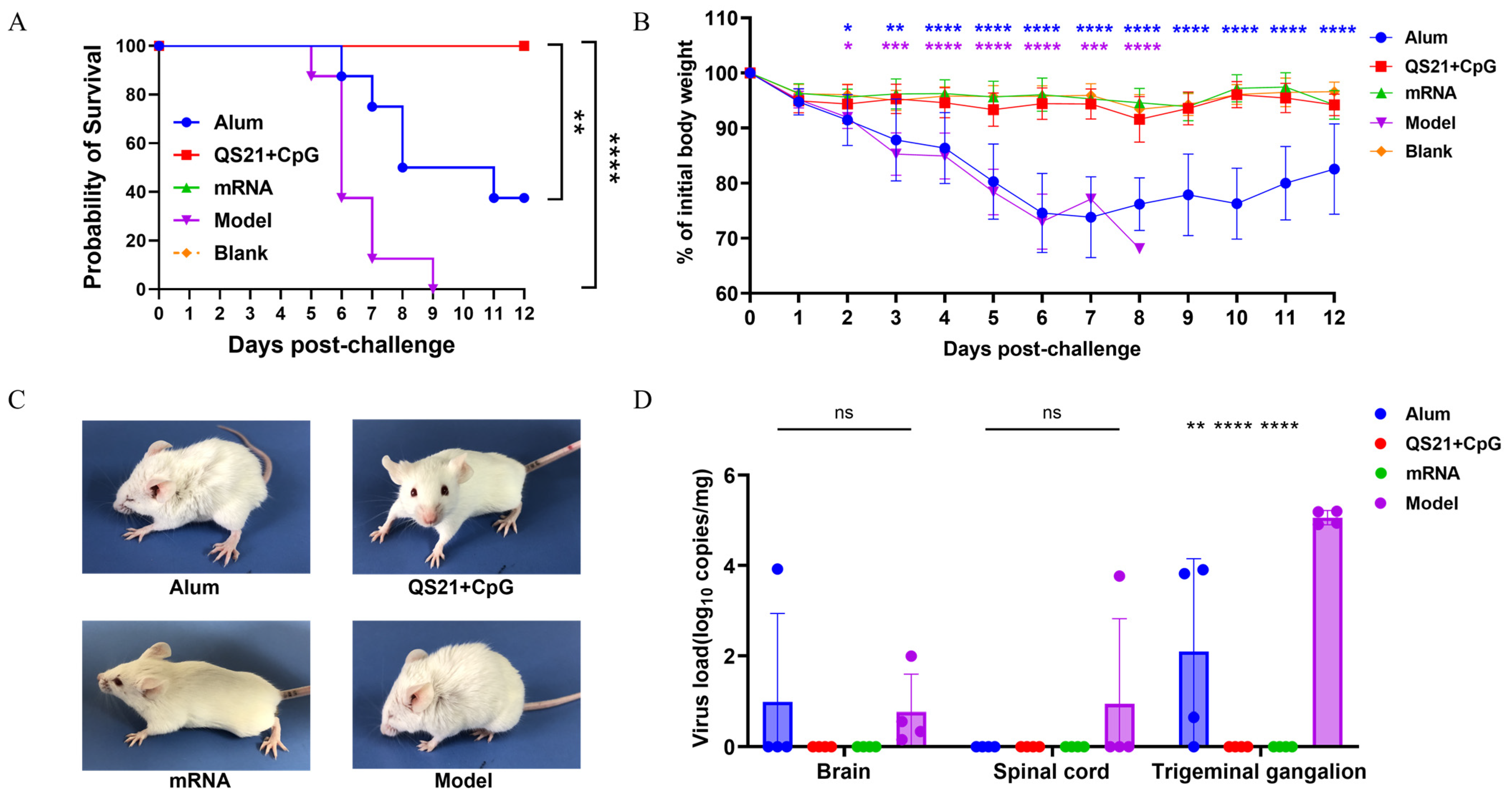 Vaccines 13 00497 g007