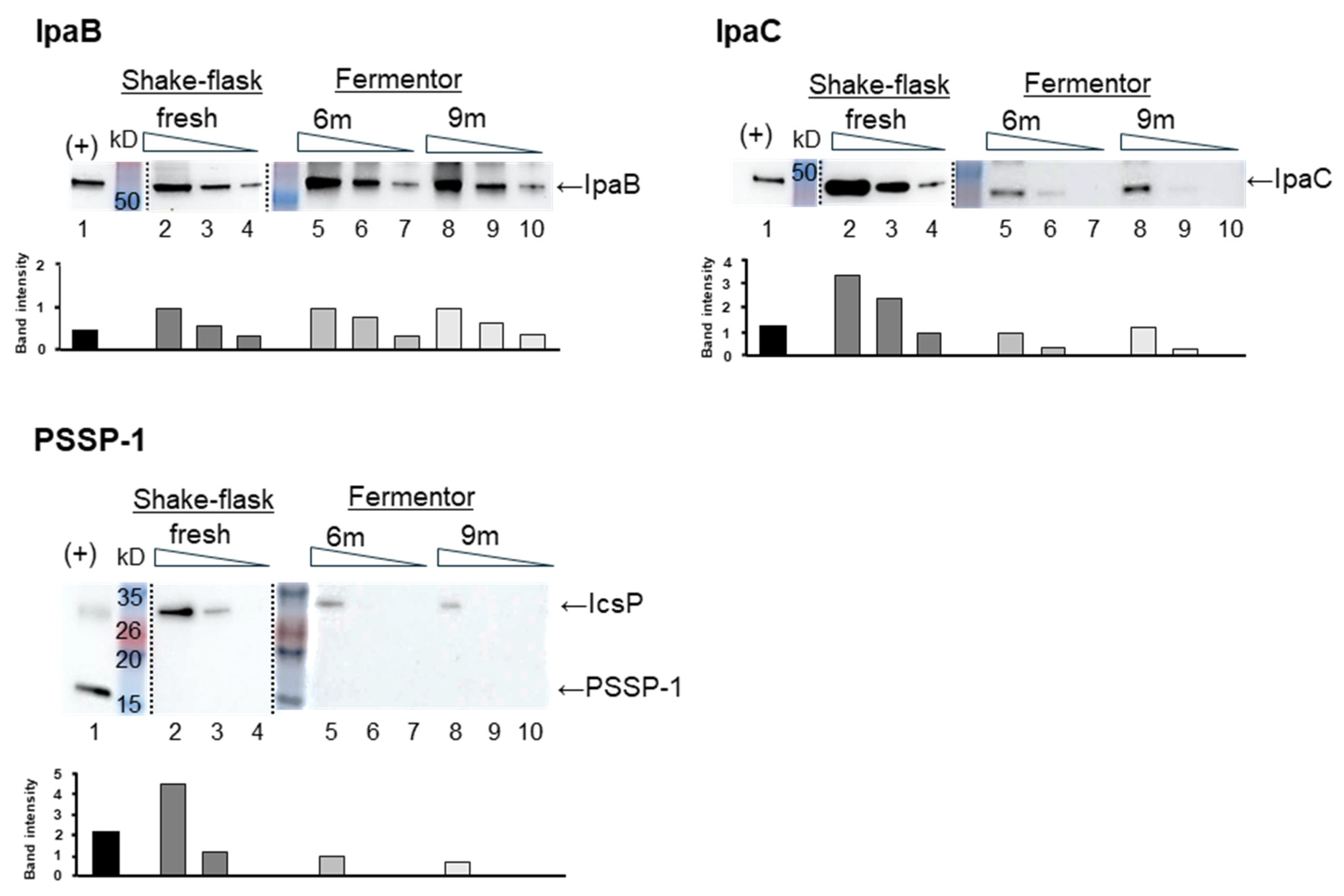 Vaccines 13 00506 g001 Vaccines 13 00506 g001