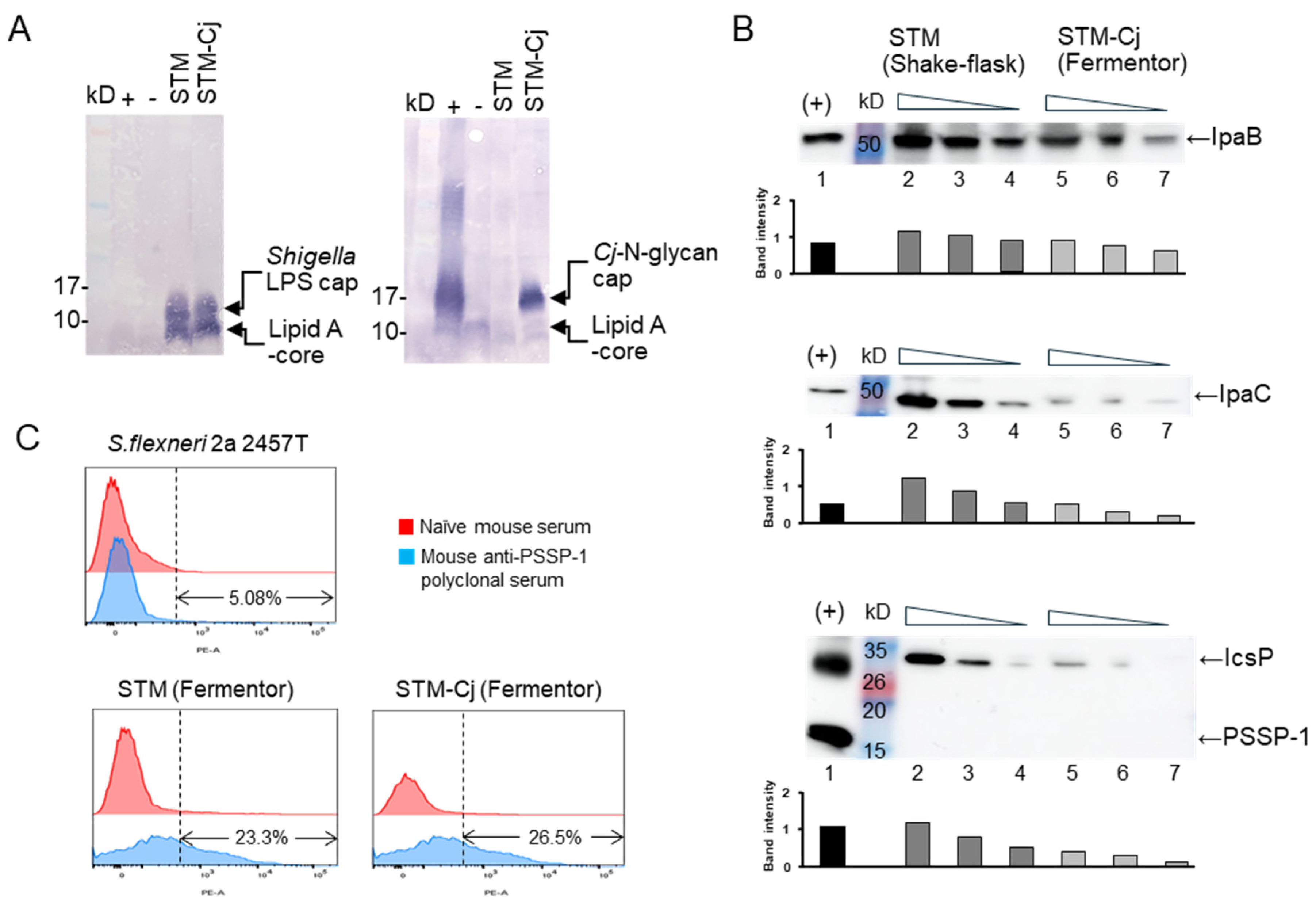 Vaccines 13 00506 g004 Vaccines 13 00506 g004