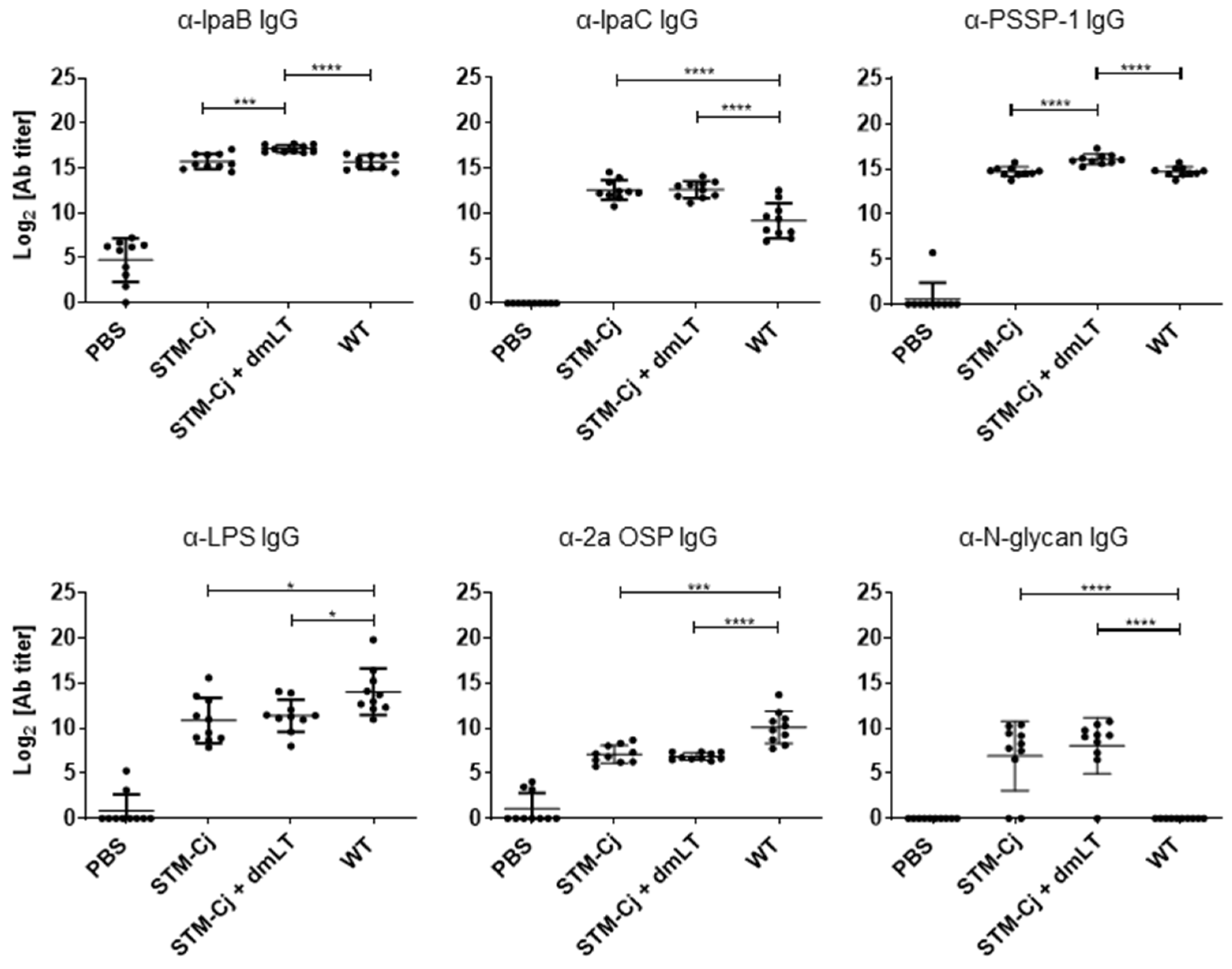 Vaccines 13 00506 g005 Vaccines 13 00506 g005