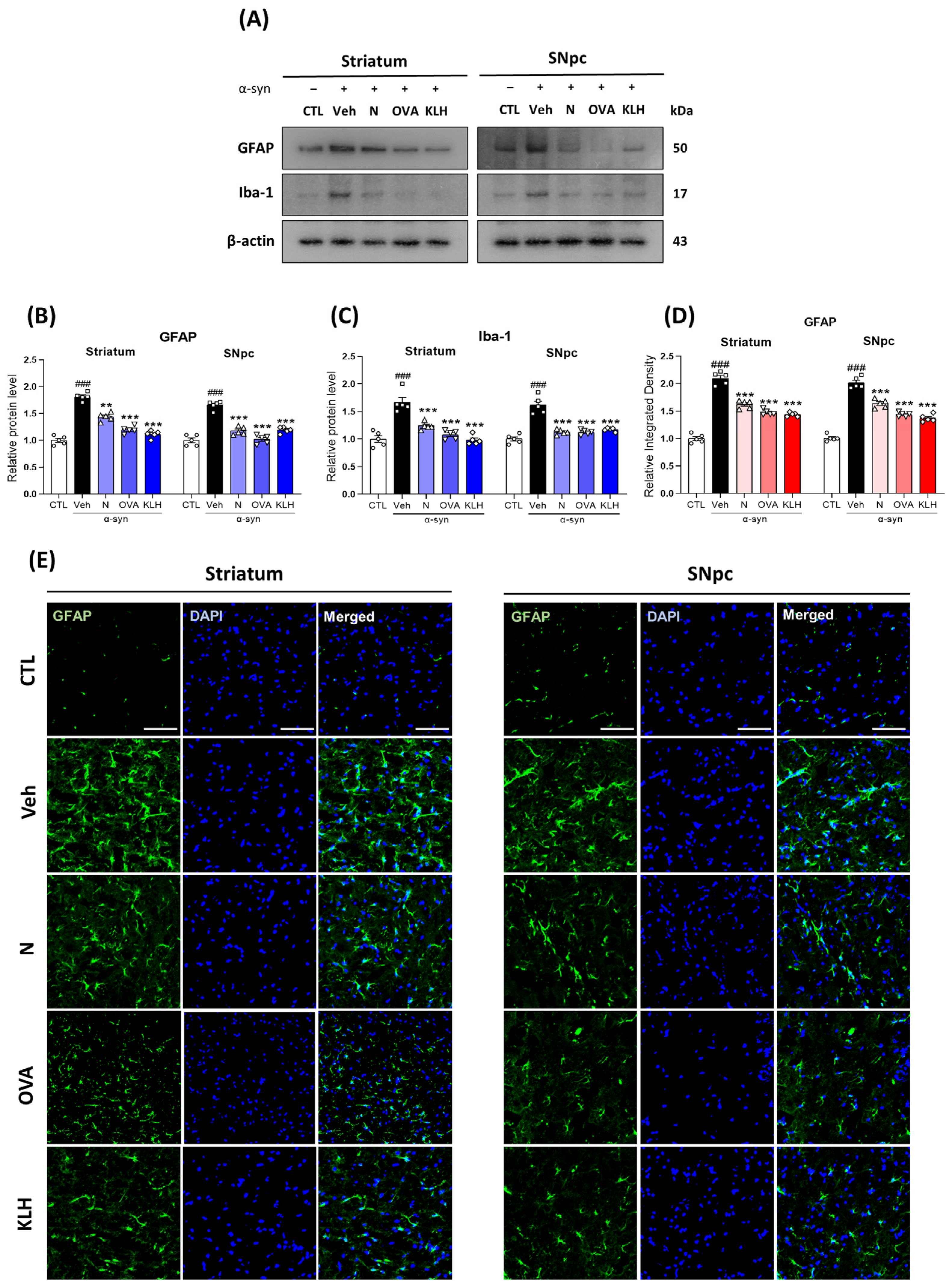 Vaccines 13 00512 g006