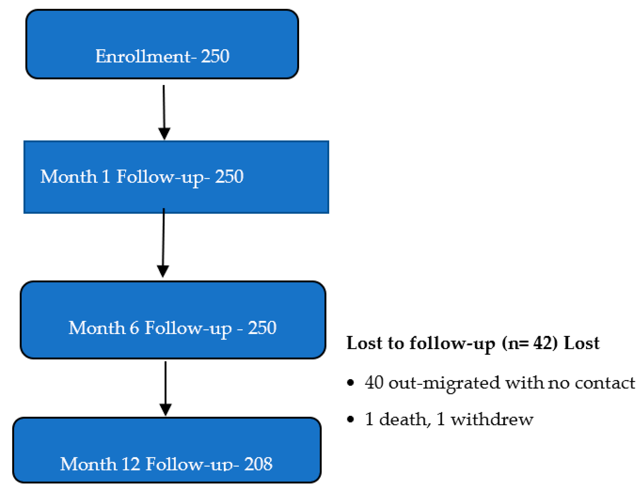 Vaccines 13 00515 g001