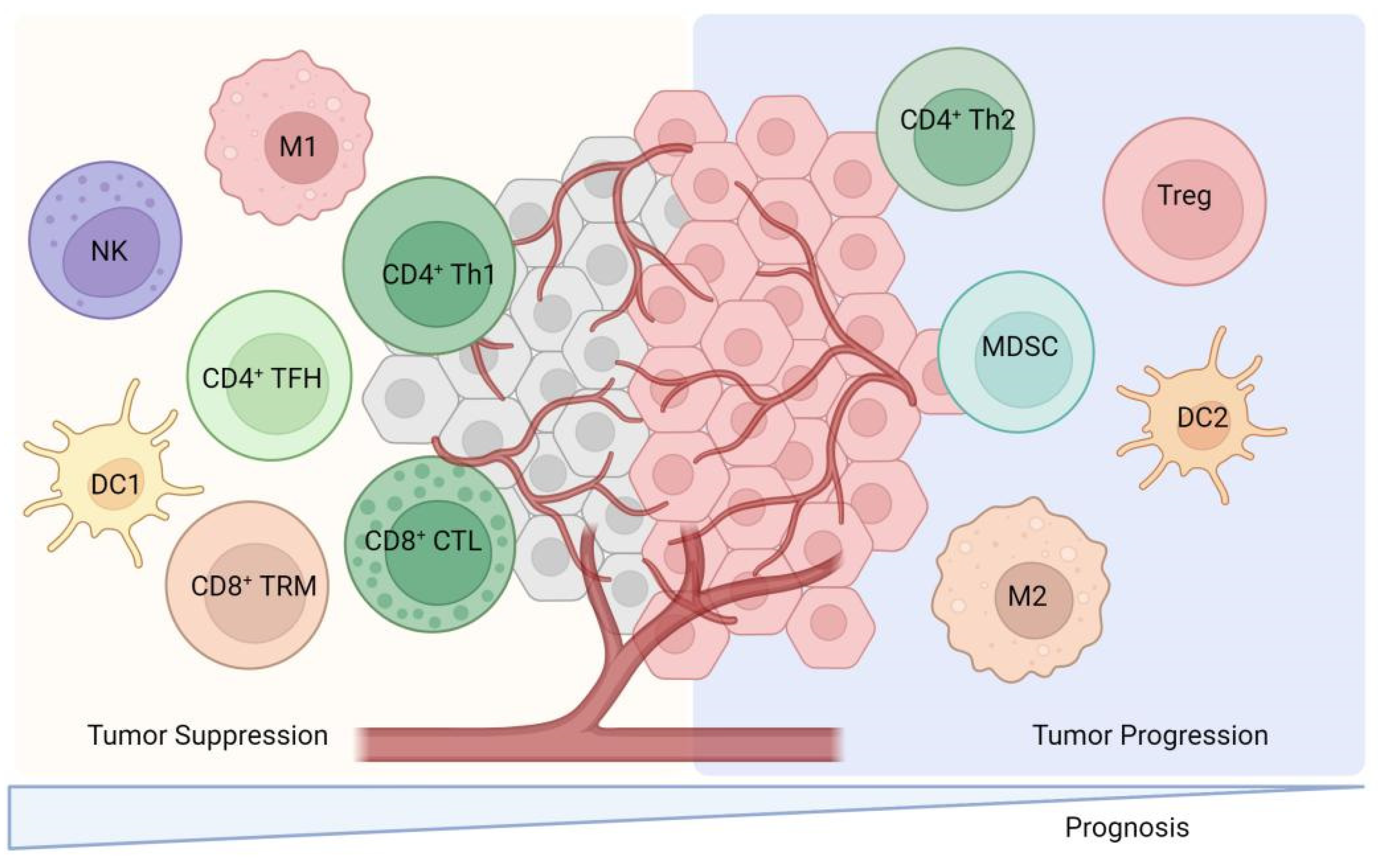 Vaccines 13 00521 g002