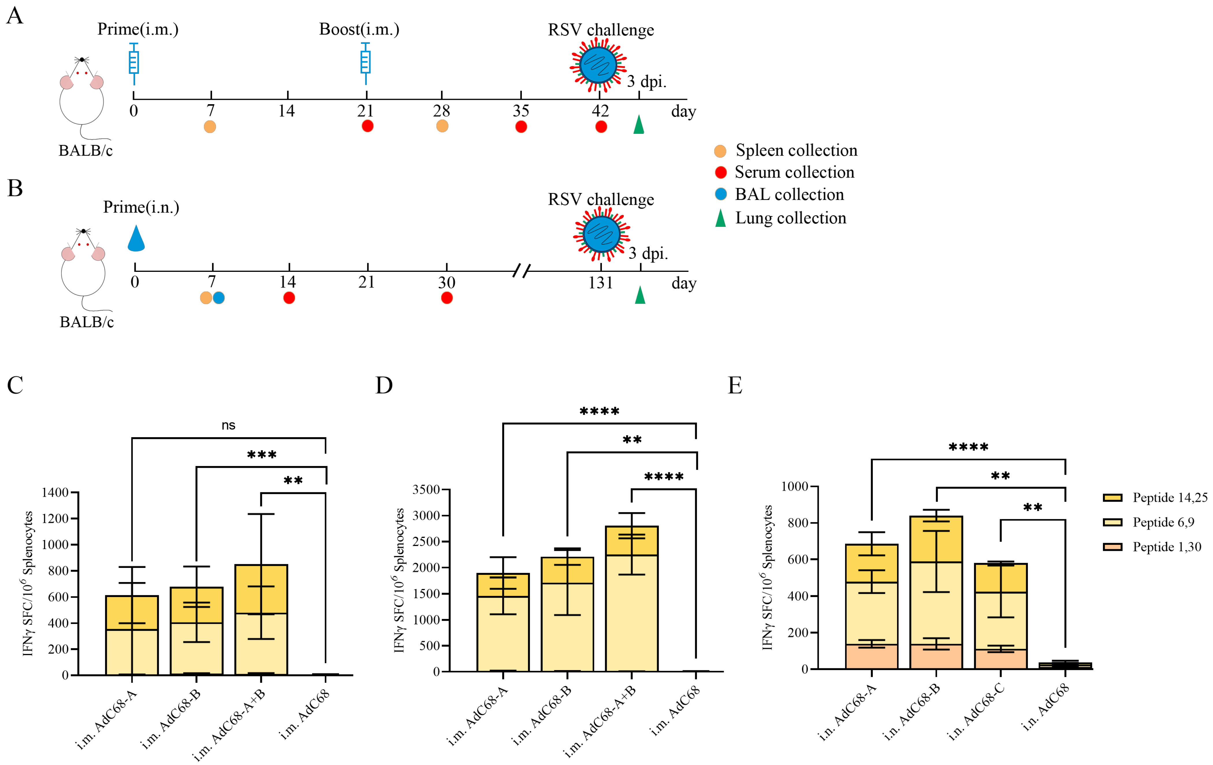 Vaccines 13 00528 g002