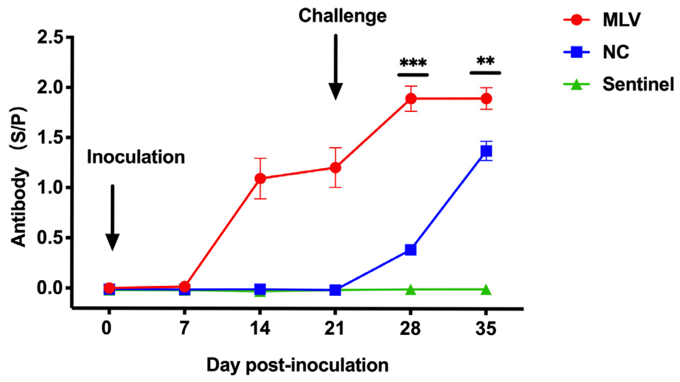 Vaccines 13 00538 g003