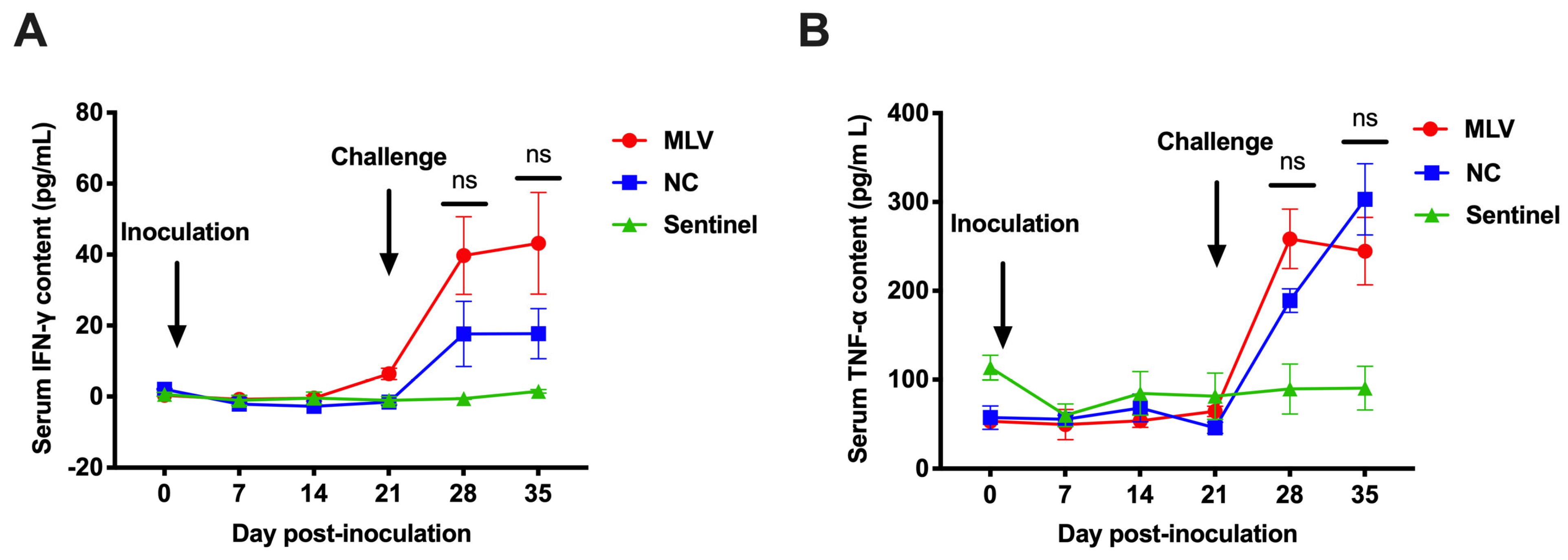 Vaccines 13 00538 g004