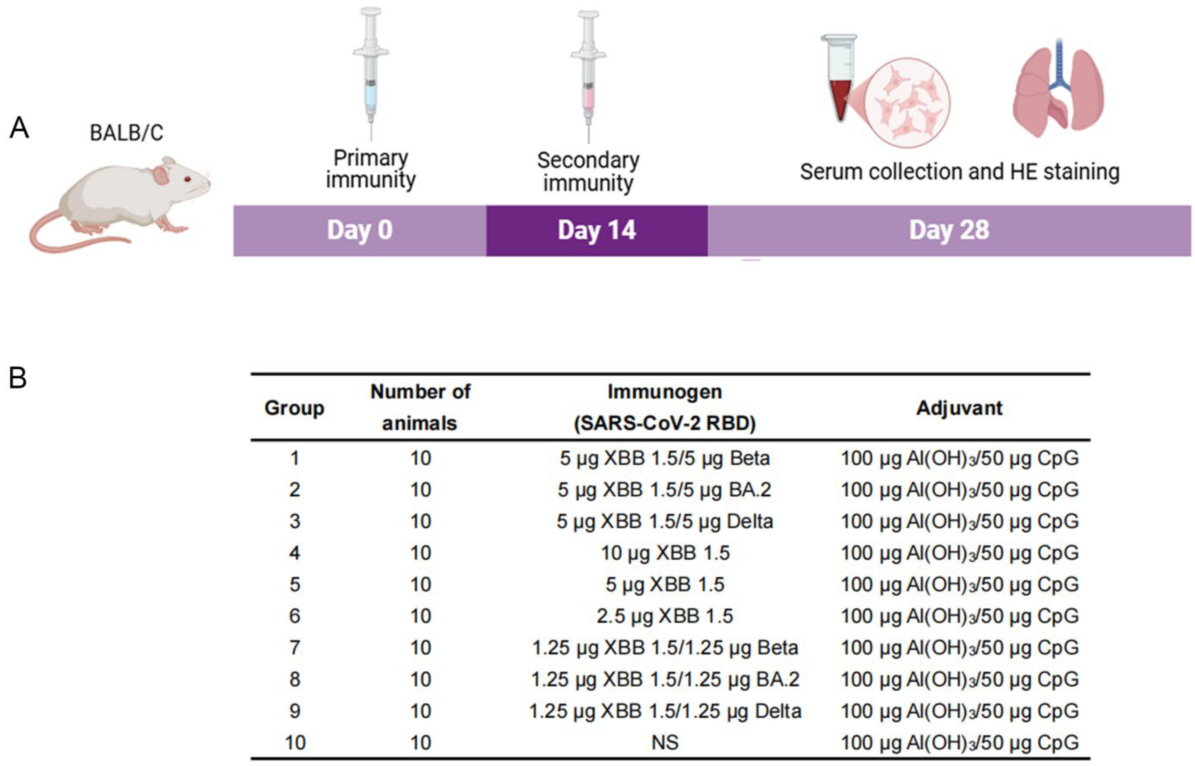Vaccines 13 00543 g001