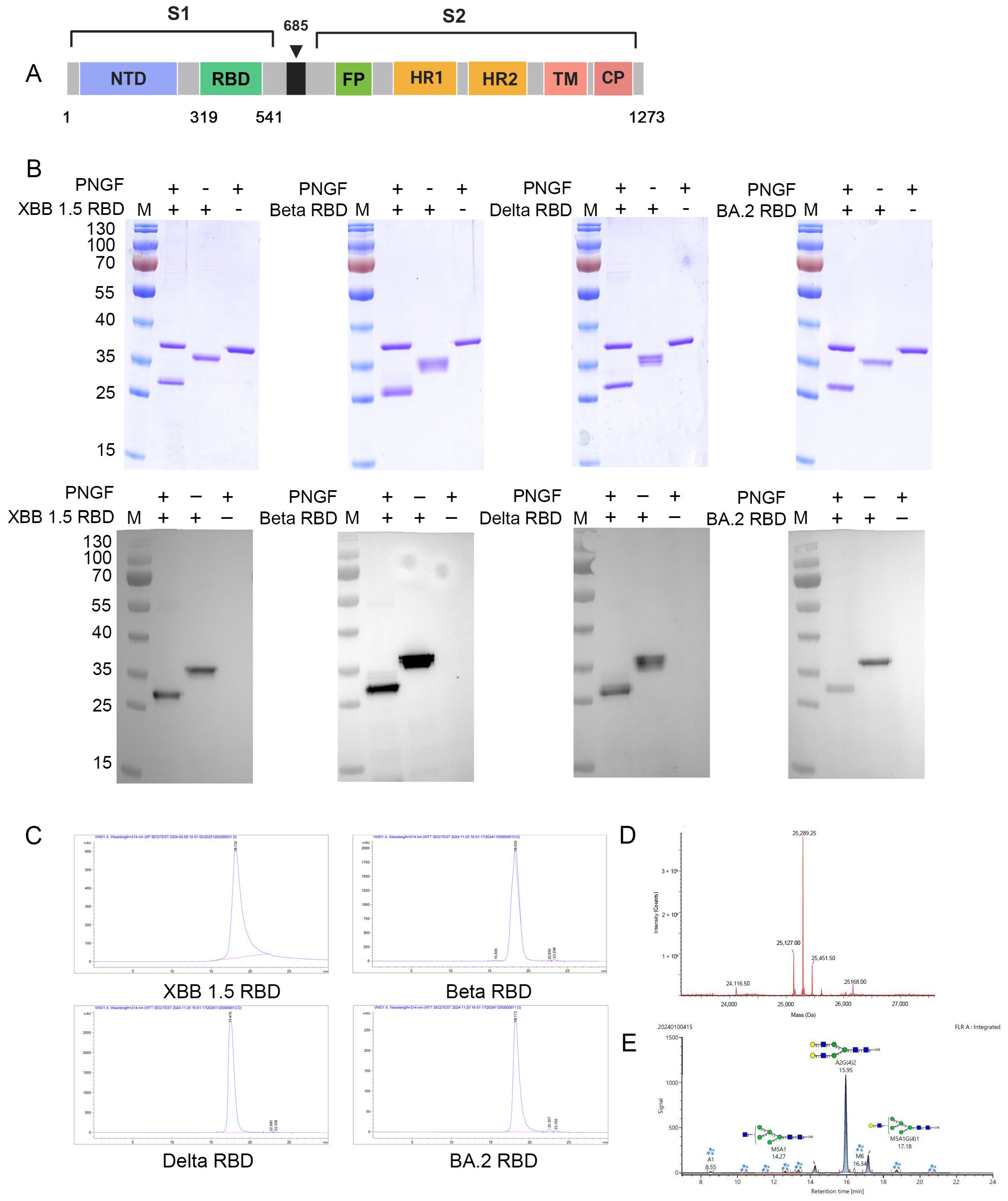 Vaccines 13 00543 g002