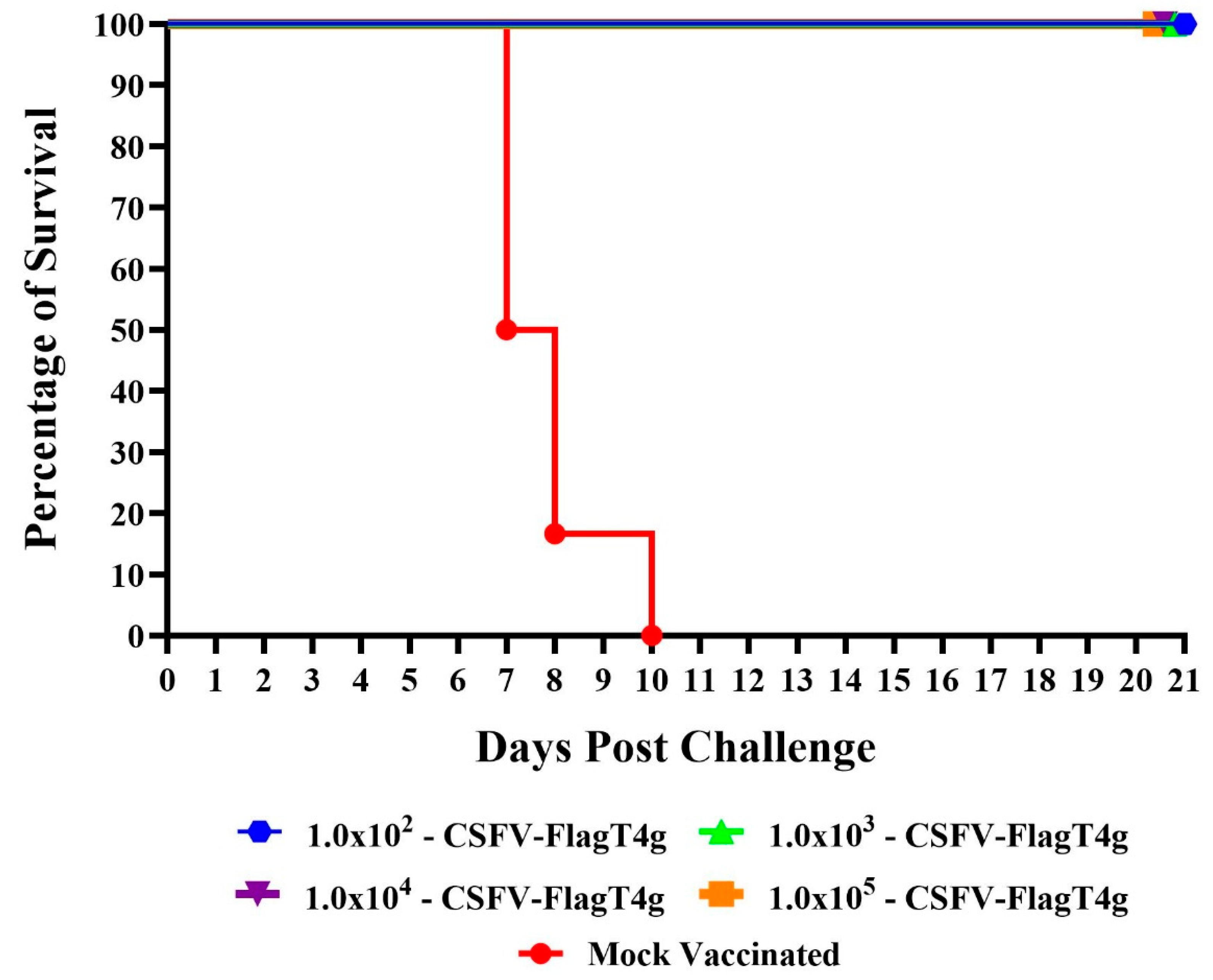 Vaccines 13 00544 g004
