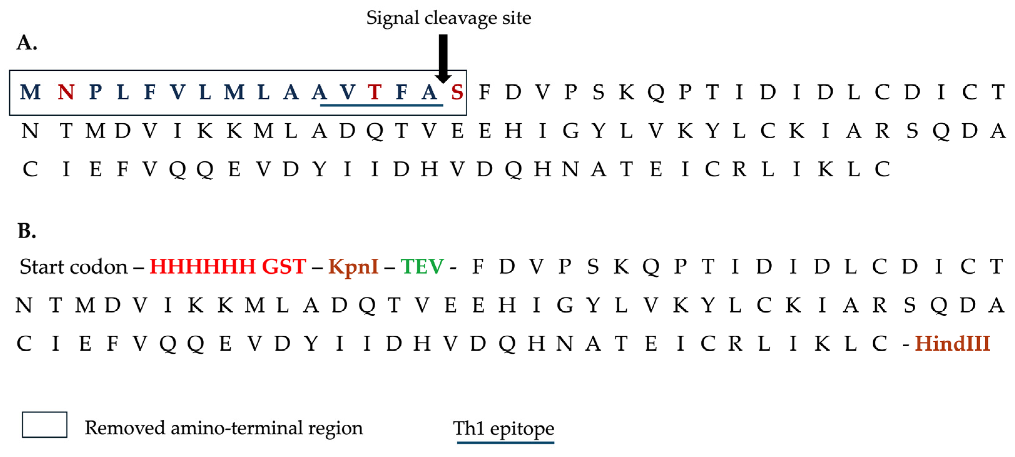 Vaccines 13 00545 g001