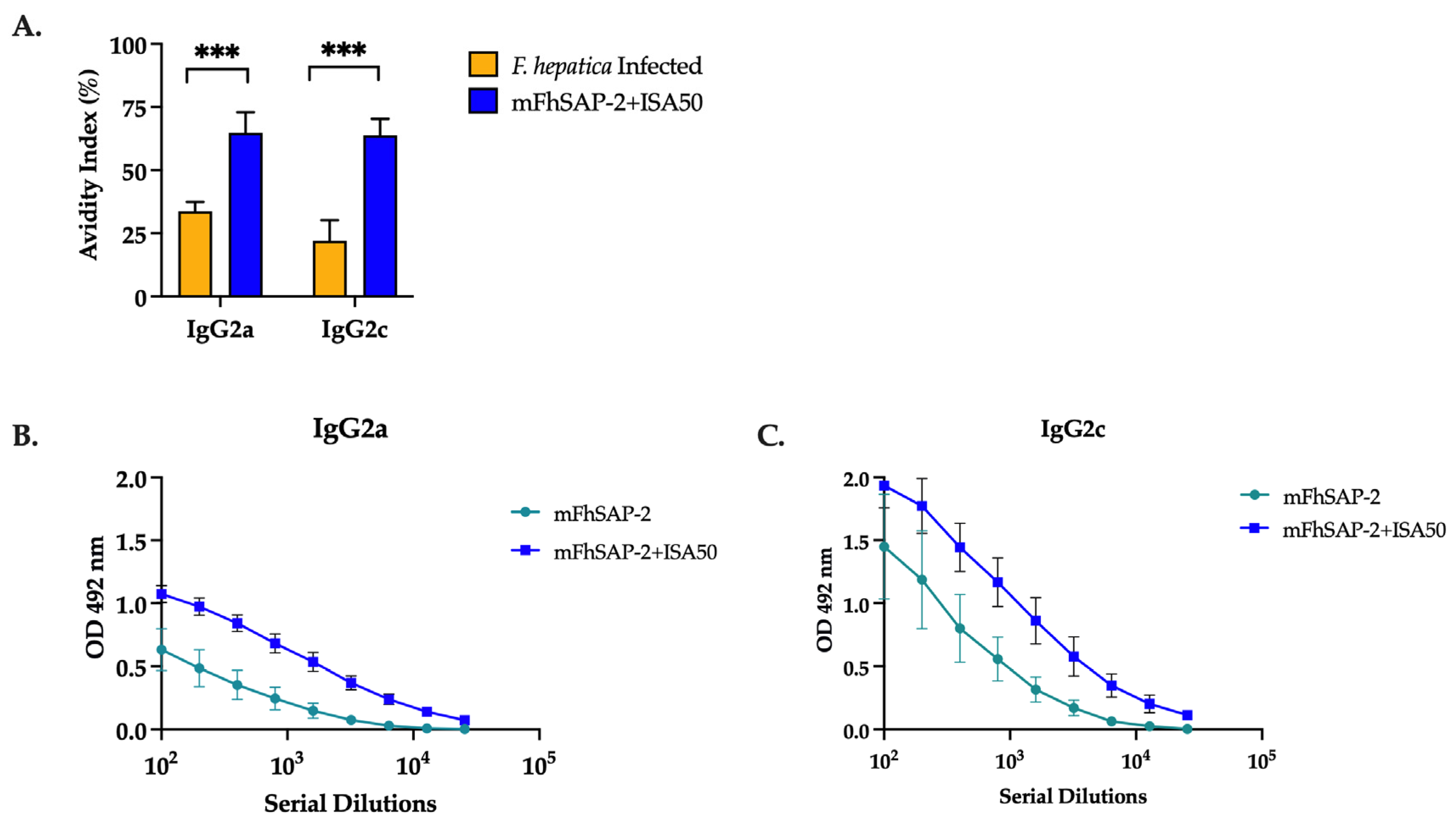 Vaccines 13 00545 g007