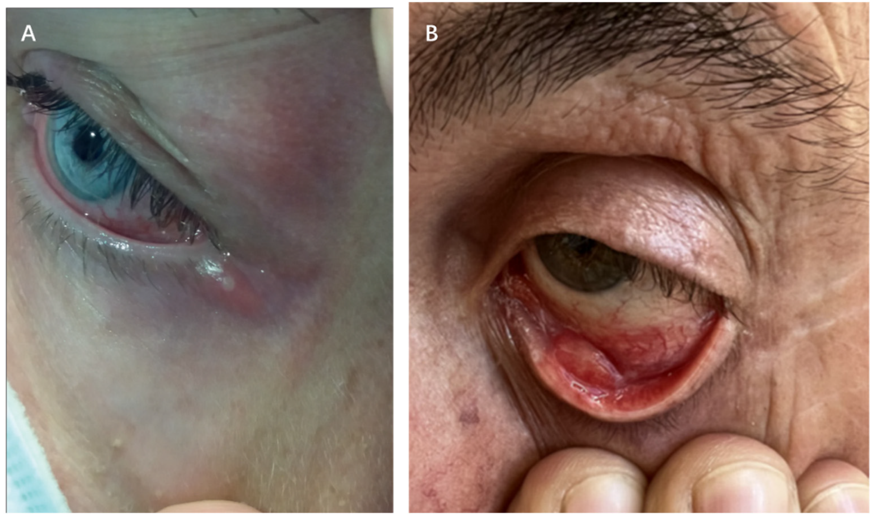 Vaccines 13 00546 g002