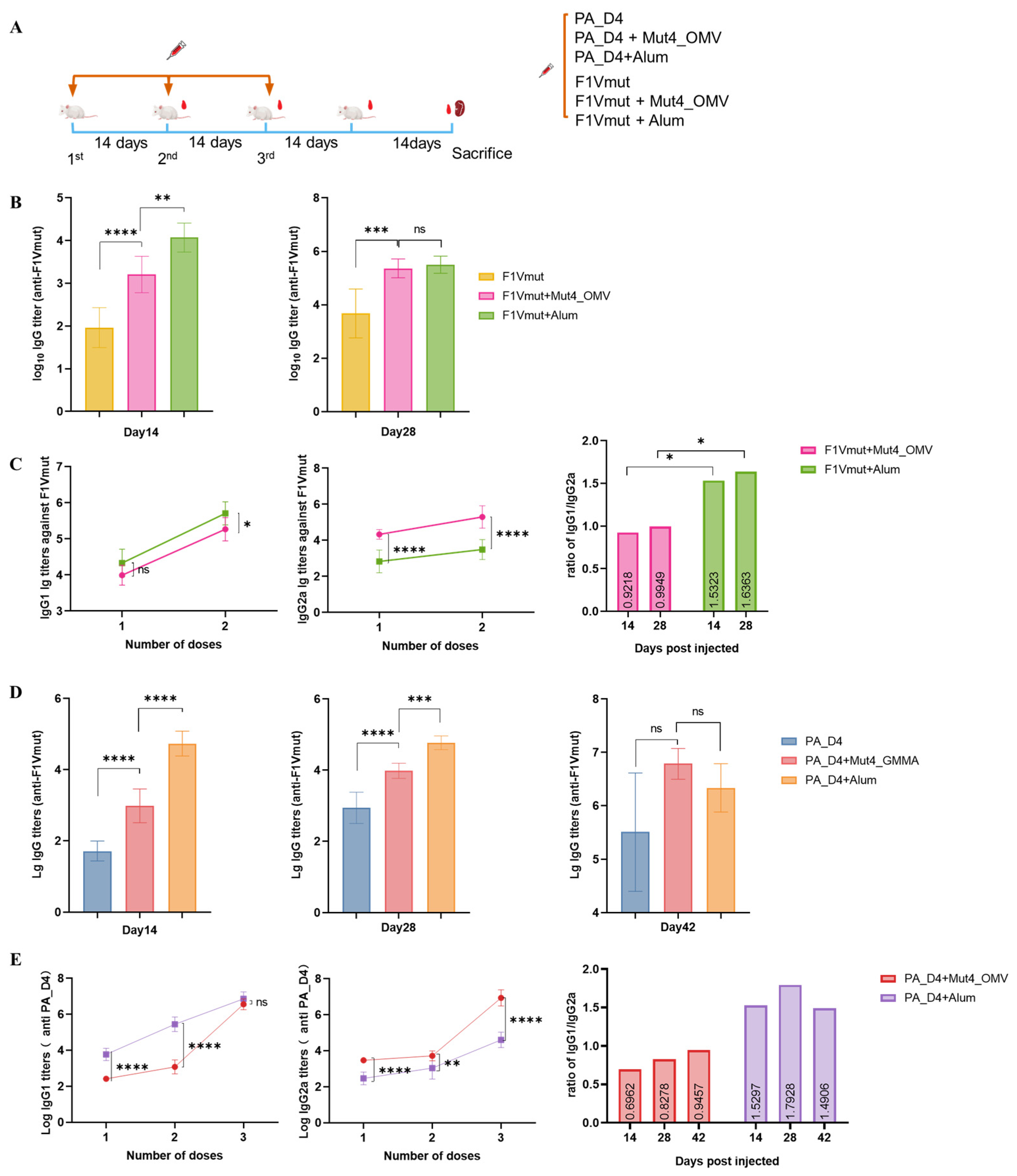 Vaccines 13 00552 g004