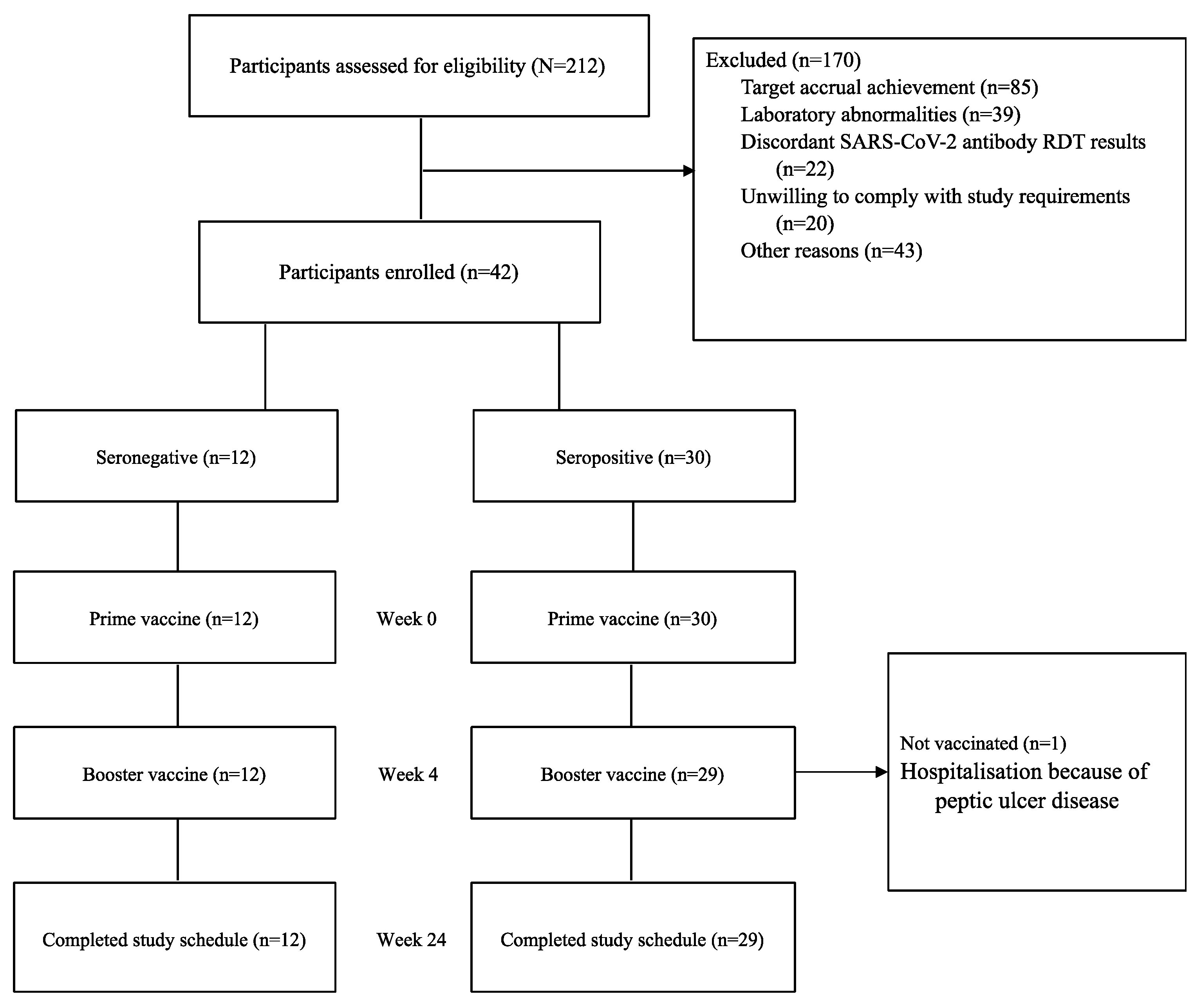 Vaccines 13 00553 g002
