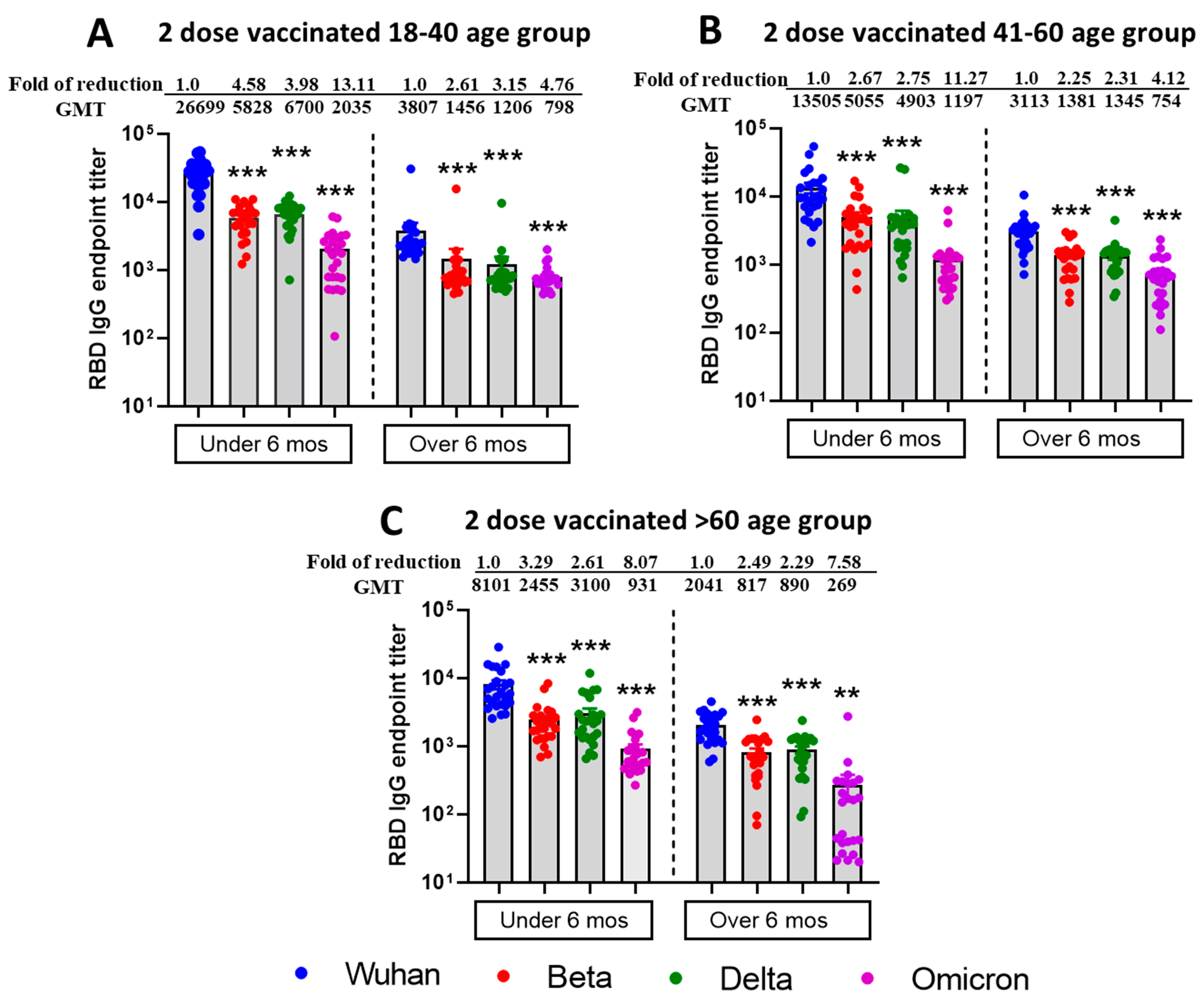 Vaccines 13 00559 g002