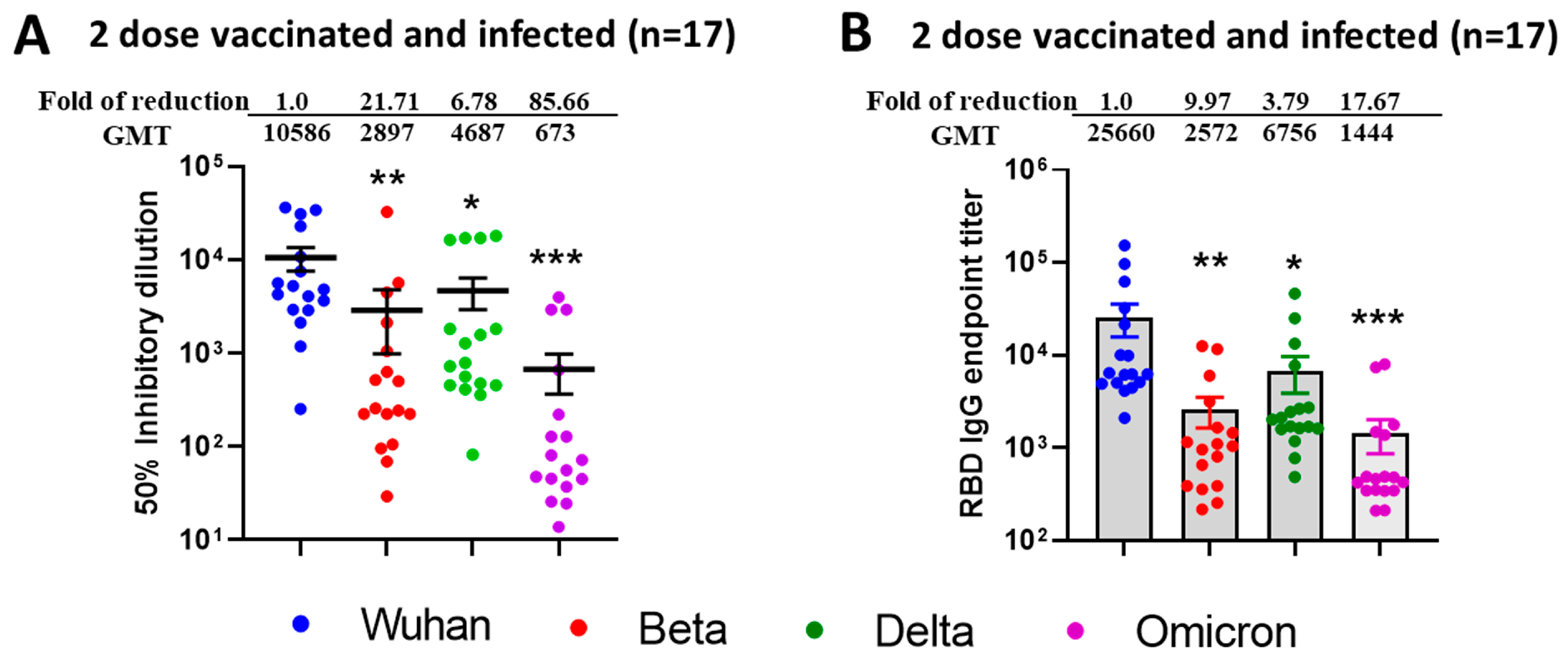 Vaccines 13 00559 g003