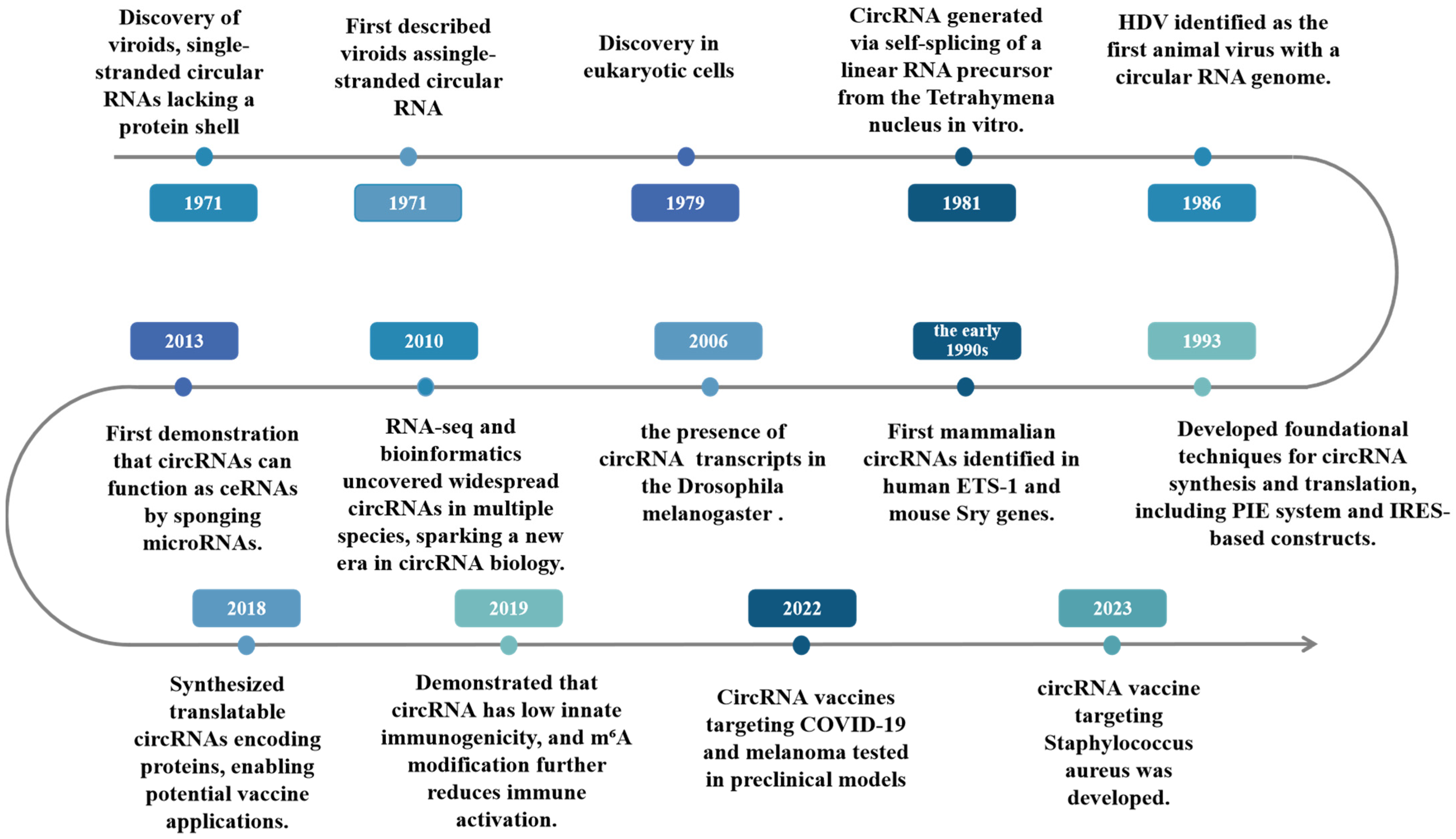 Vaccines 13 00563 g001