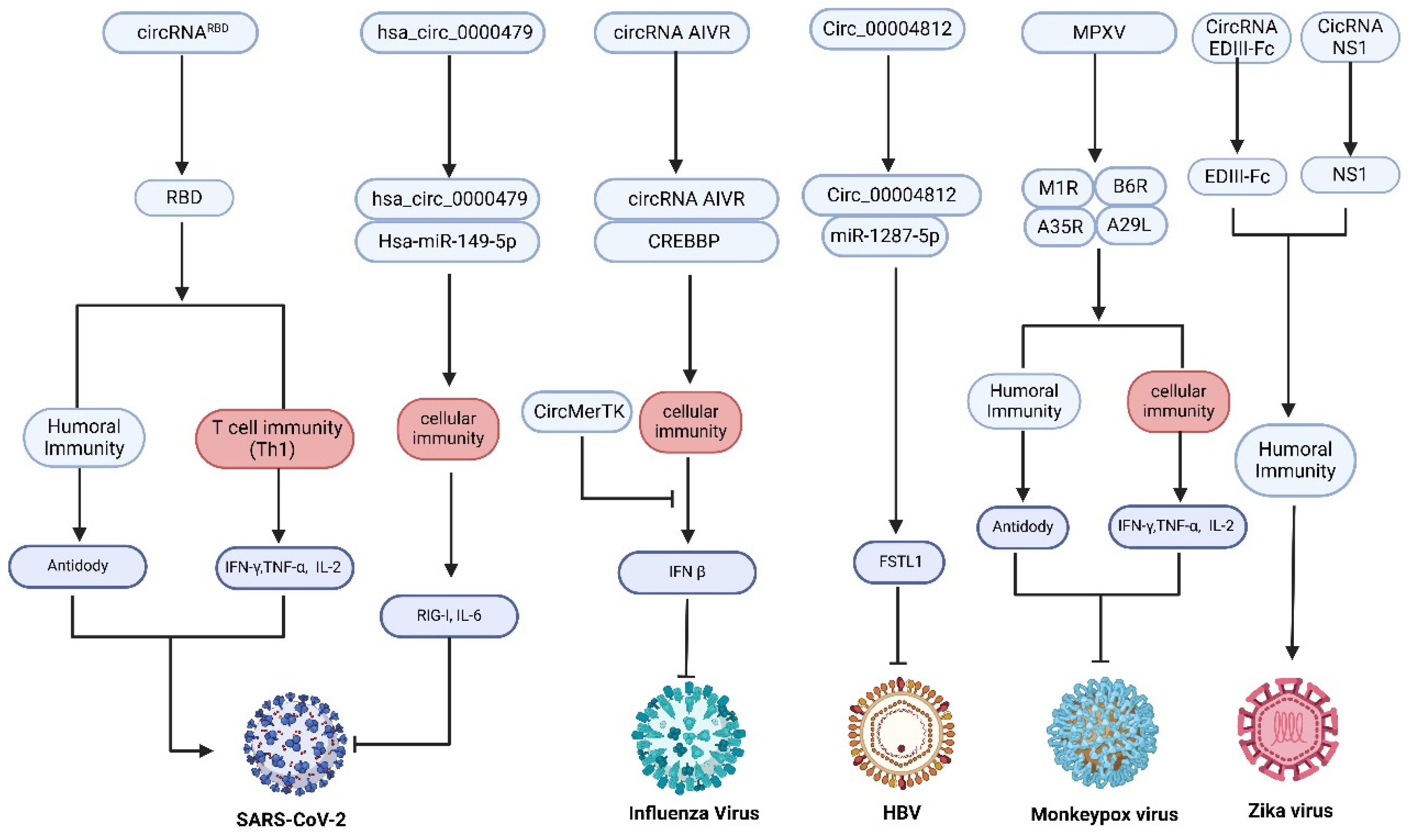 Vaccines 13 00563 g004
