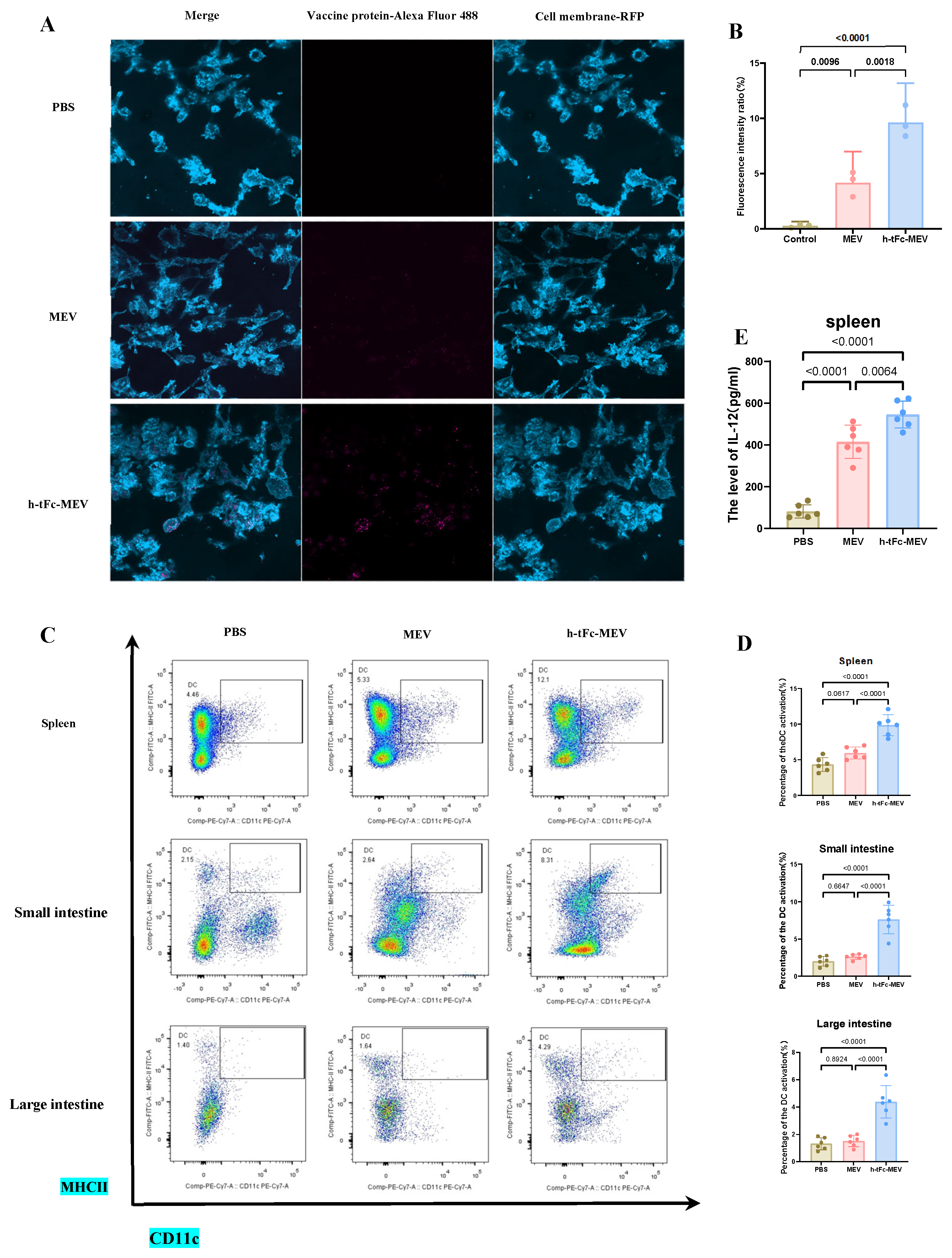 Vaccines 13 00567 g007