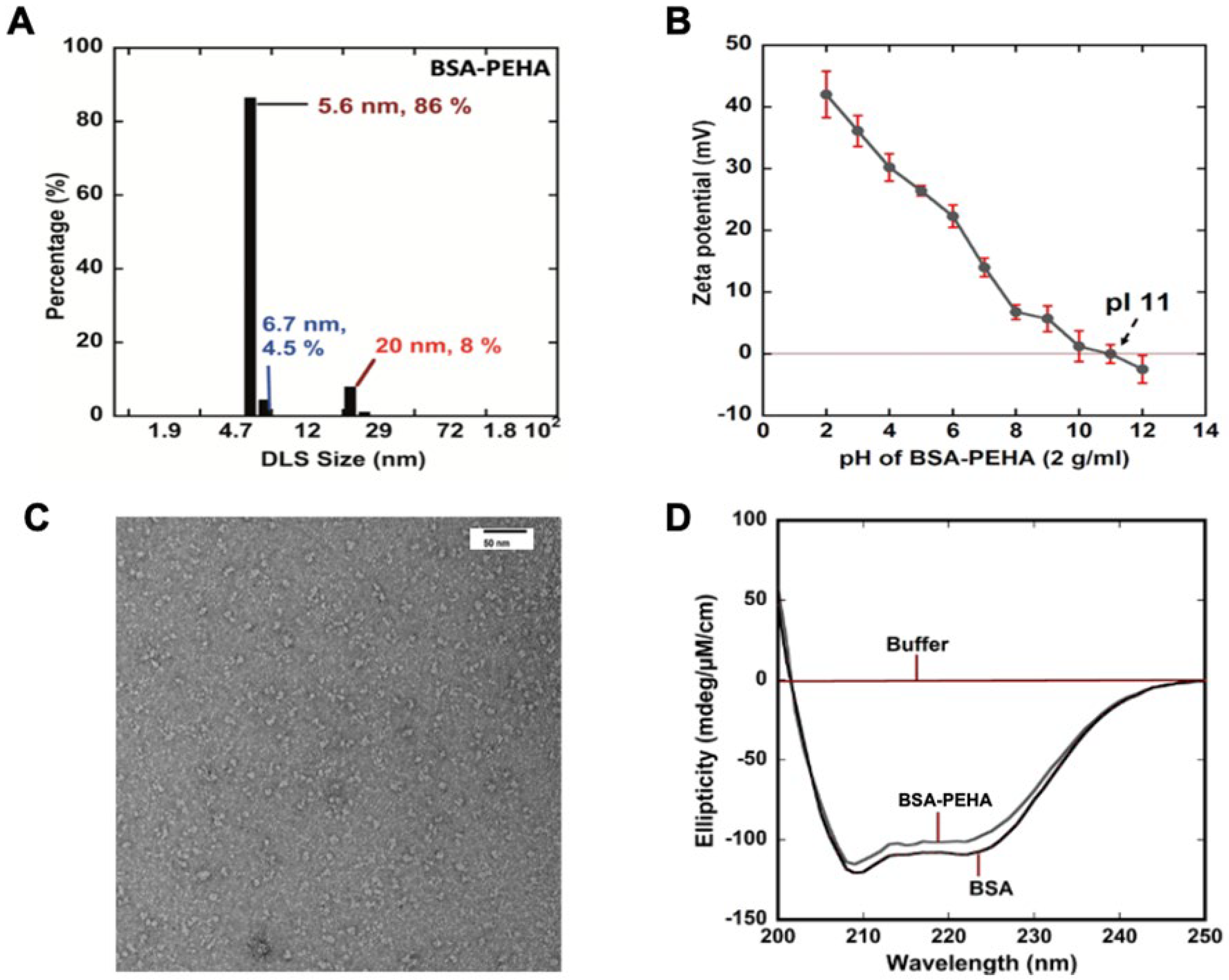 Vaccines 13 00568 g001