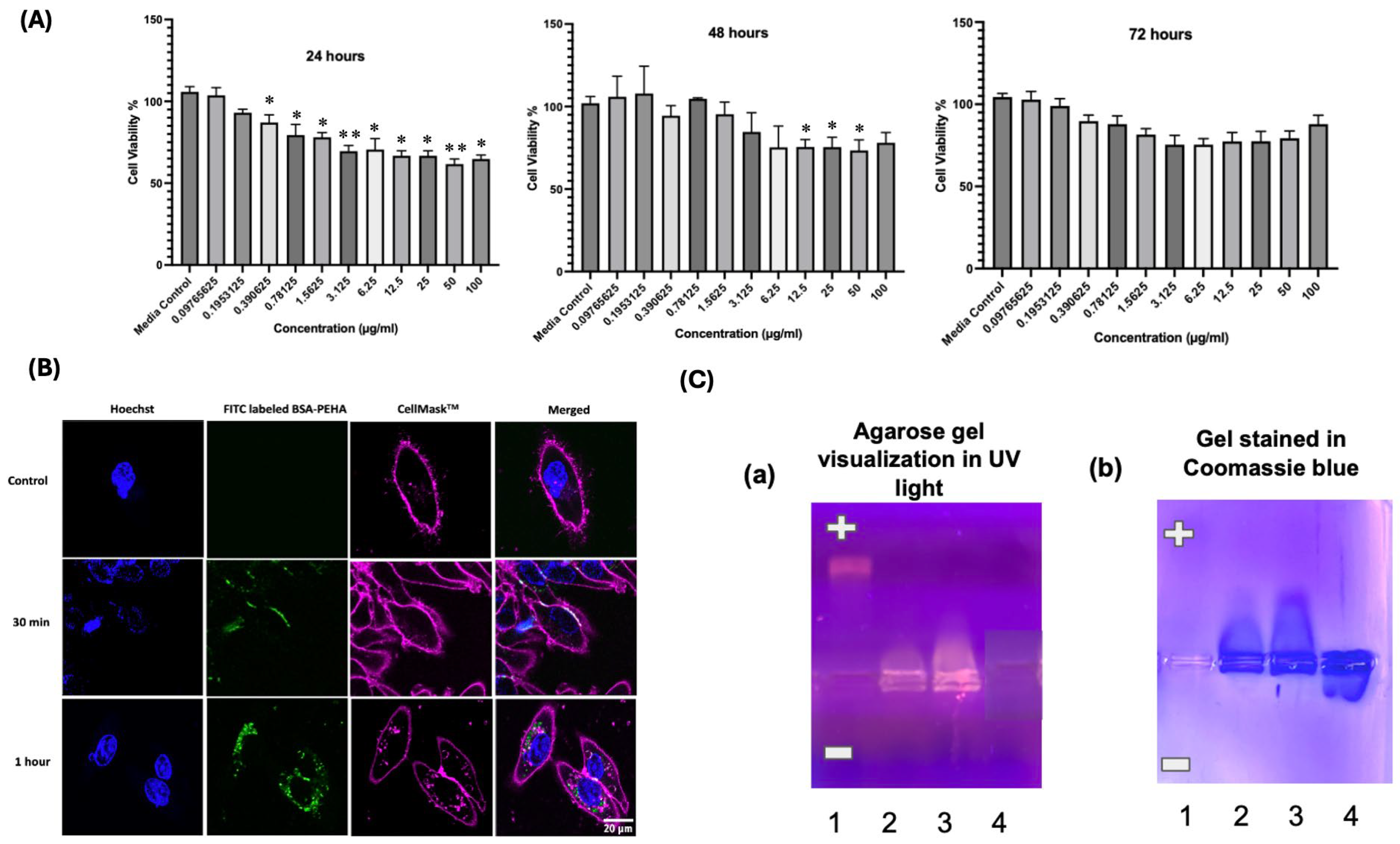Vaccines 13 00568 g002