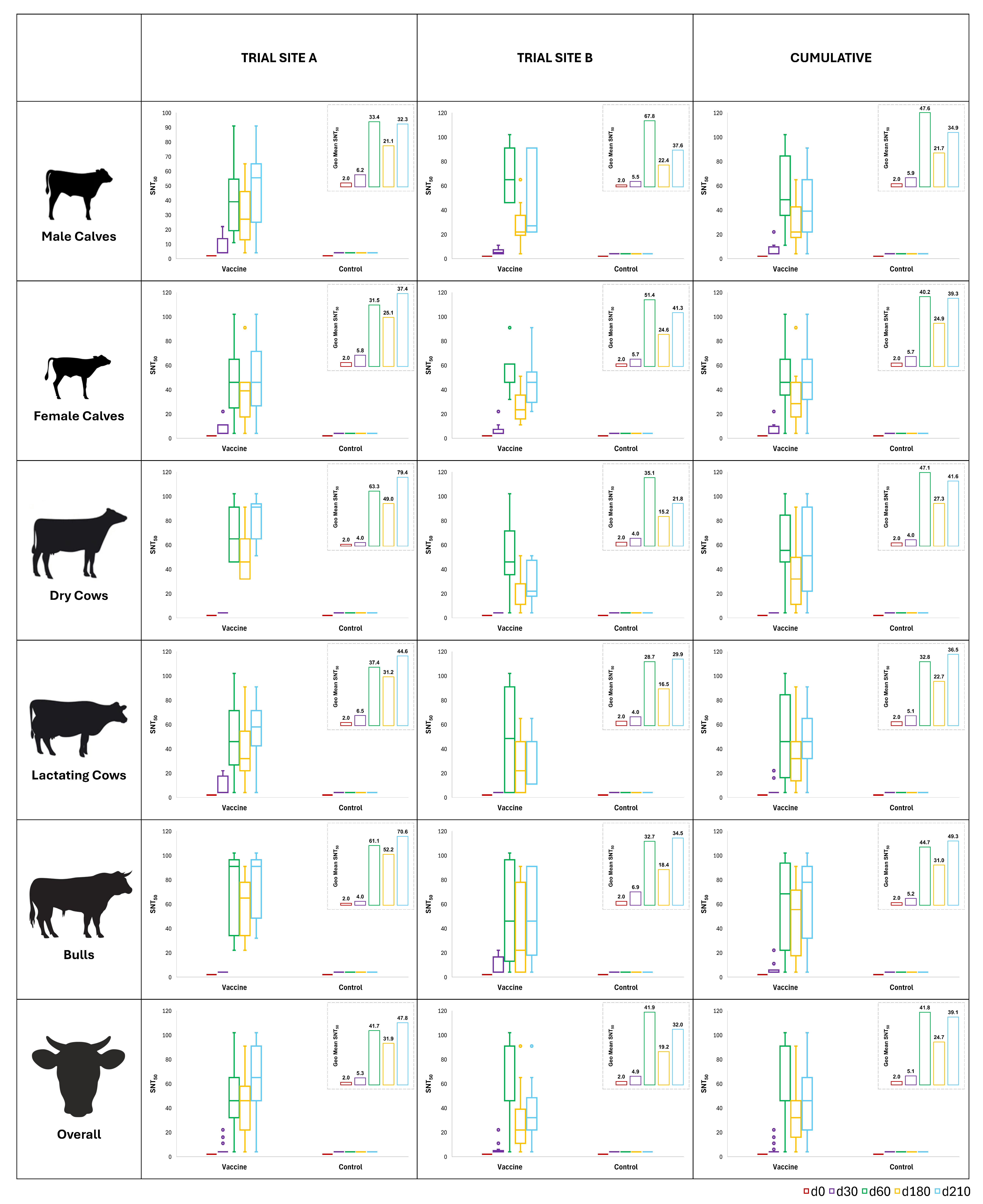 Vaccines 13 00579 g005