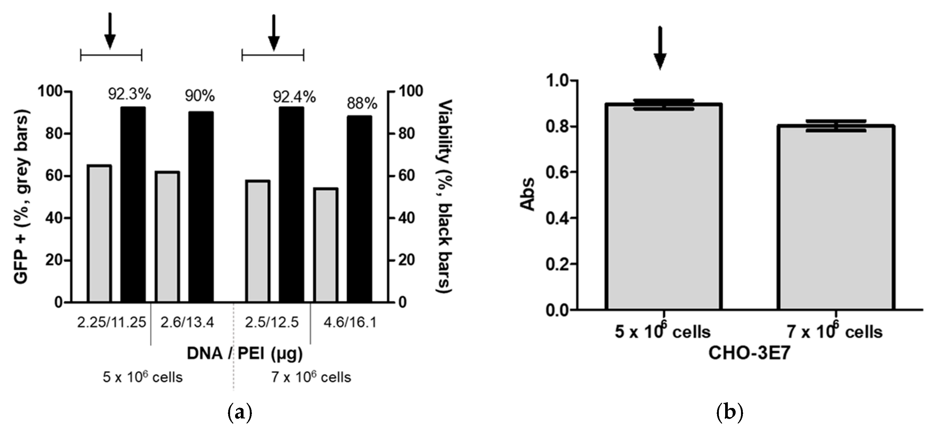 Vaccines 13 00581 g005