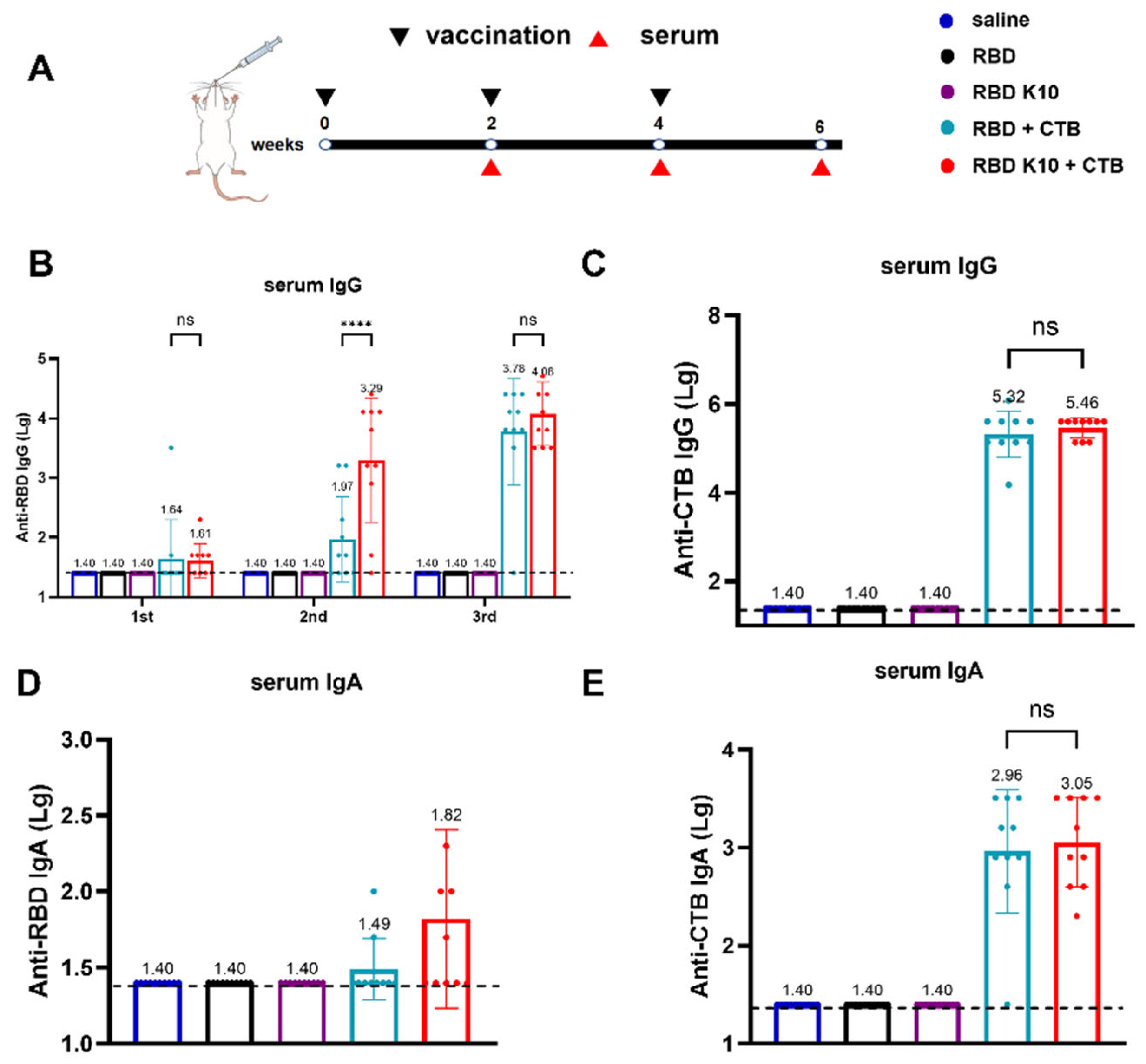 Vaccines 13 00582 g003