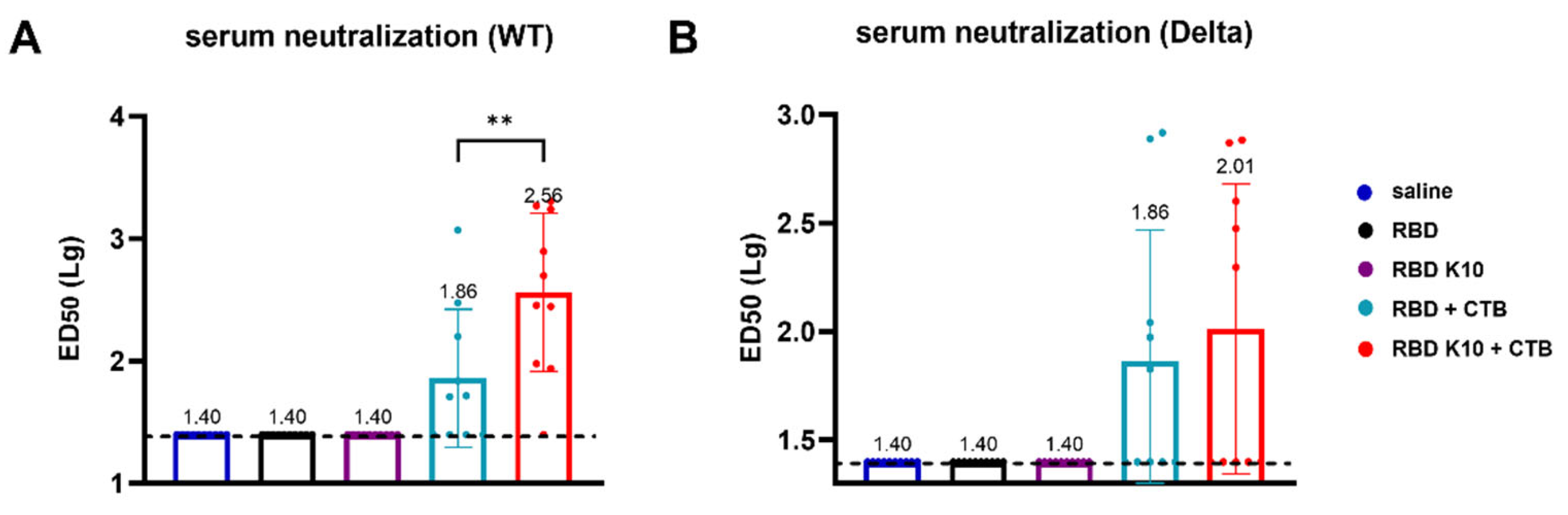 Vaccines 13 00582 g006