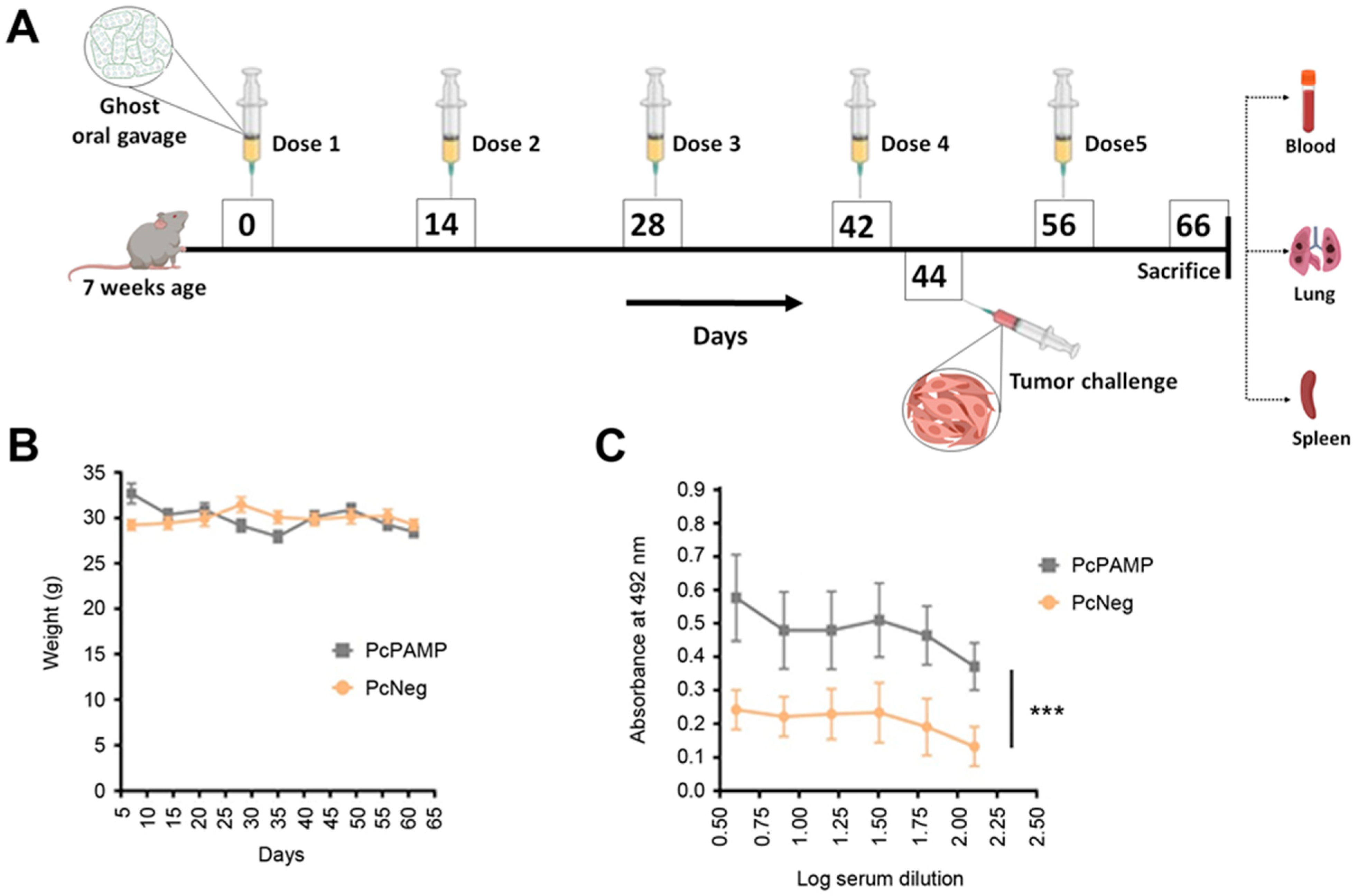 Vaccines 13 00586 g002