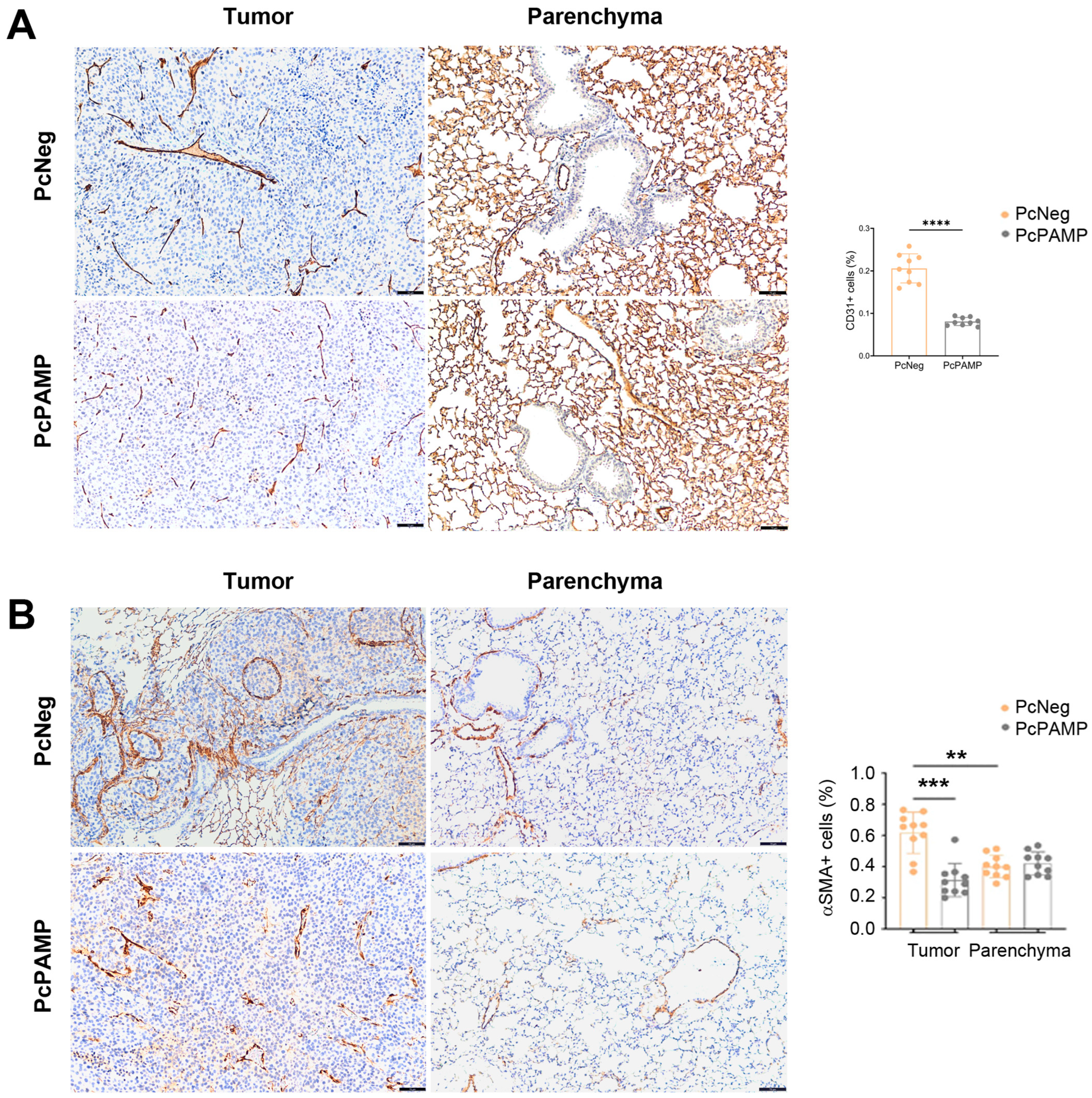 Vaccines 13 00586 g004