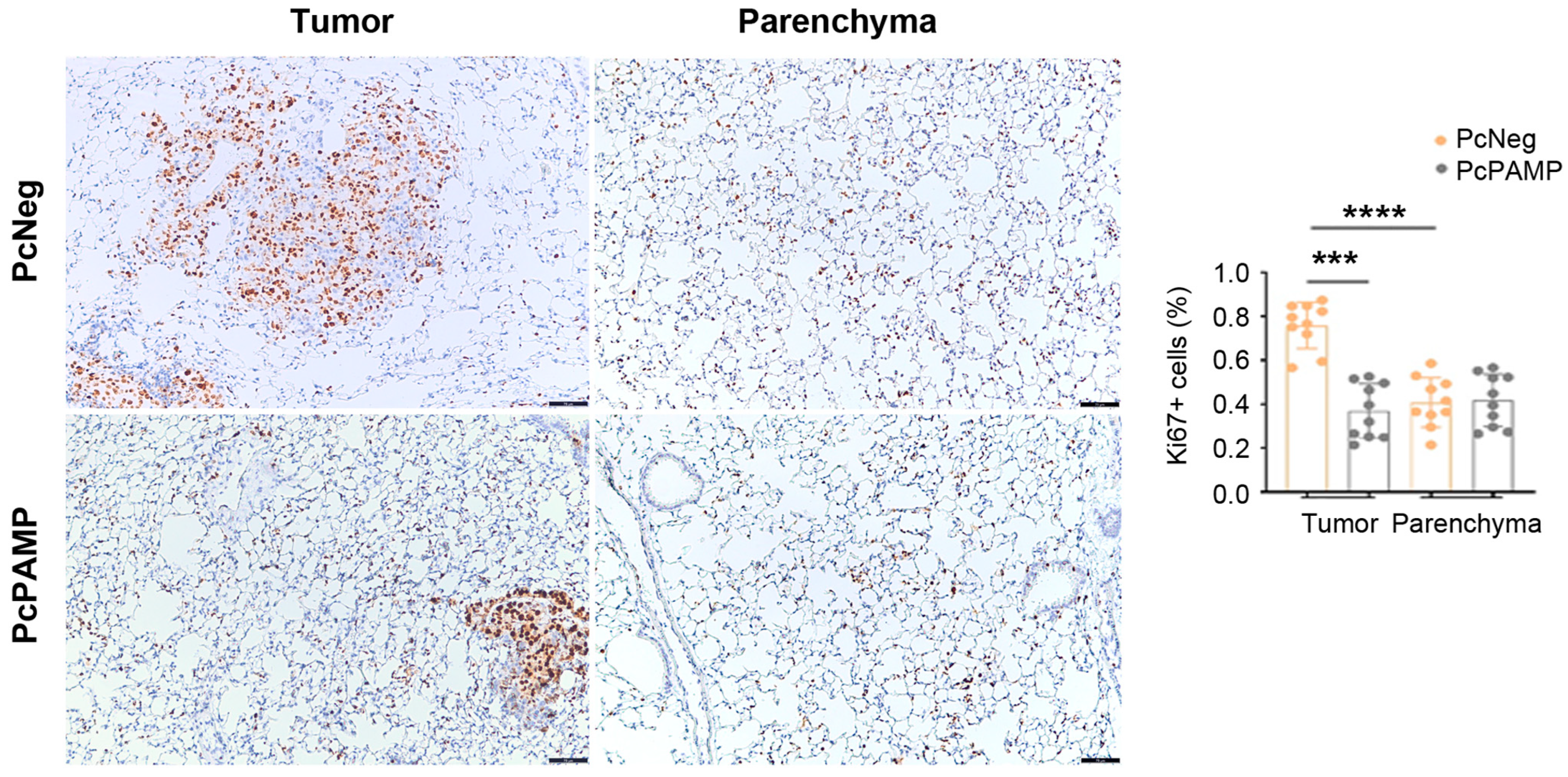Vaccines 13 00586 g005