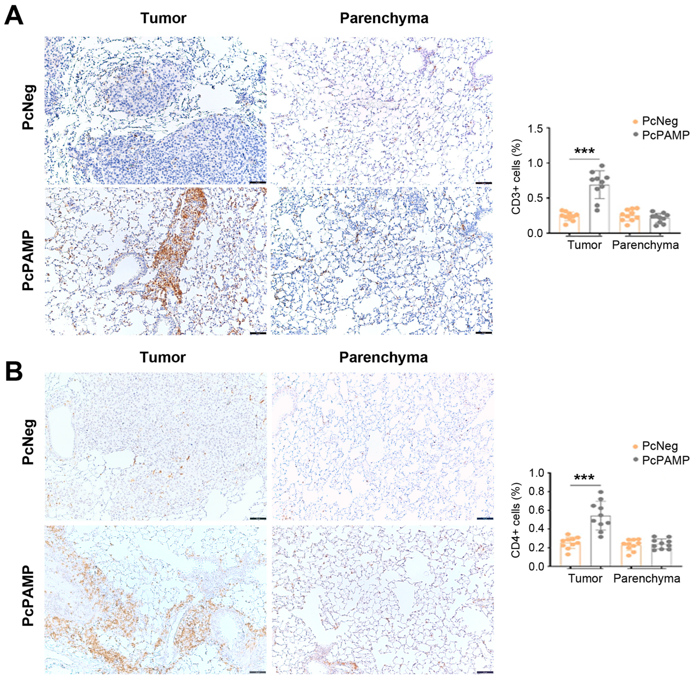 Vaccines 13 00586 g006