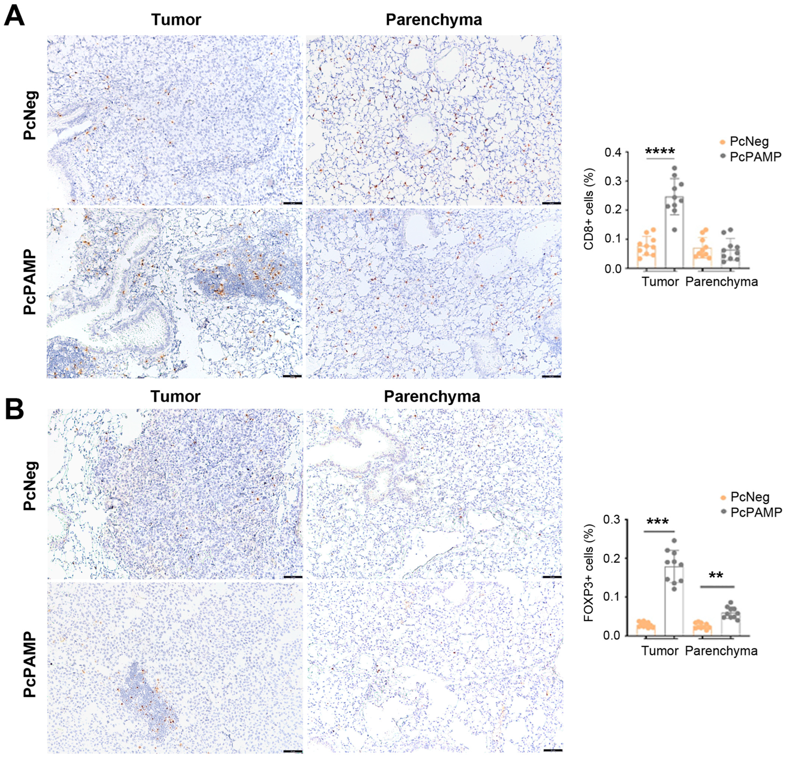 Vaccines 13 00586 g007