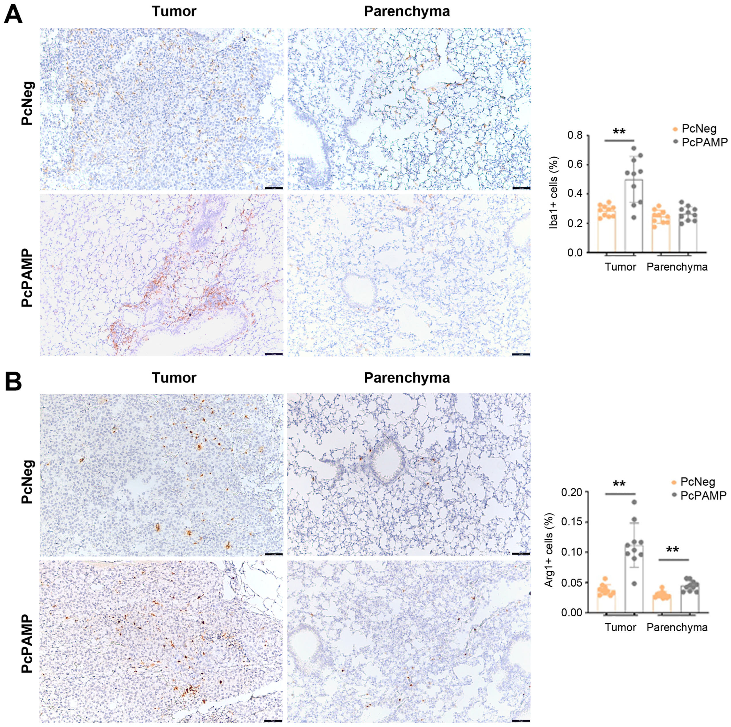 Vaccines 13 00586 g008