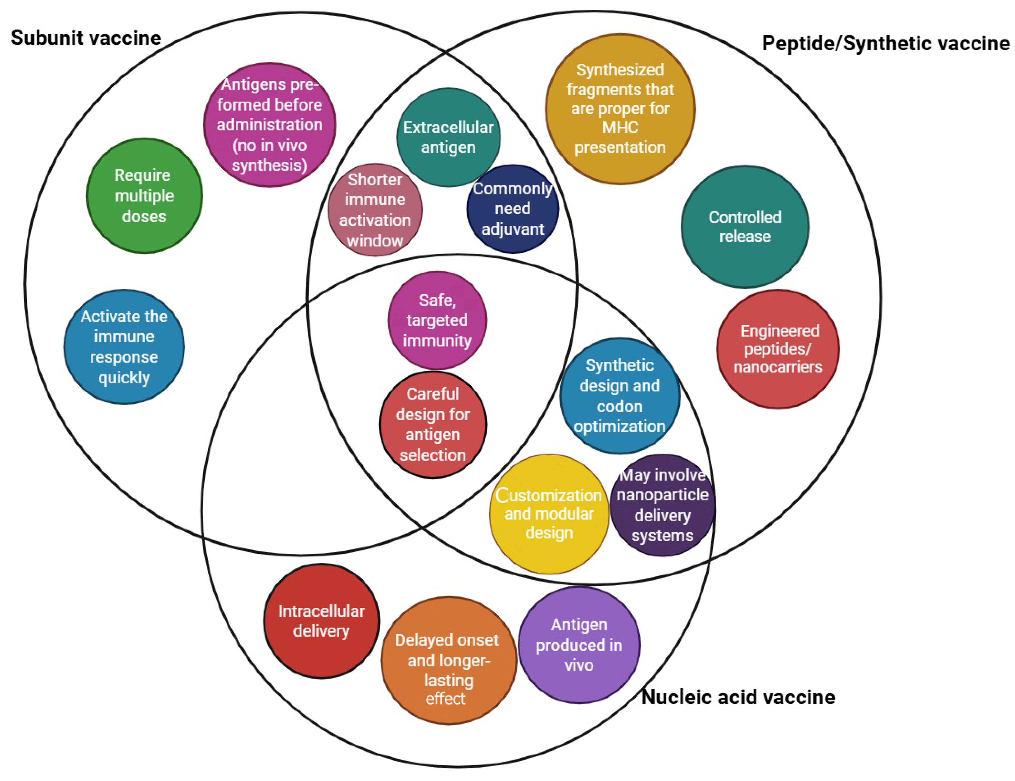Vaccines 13 00588 g002
