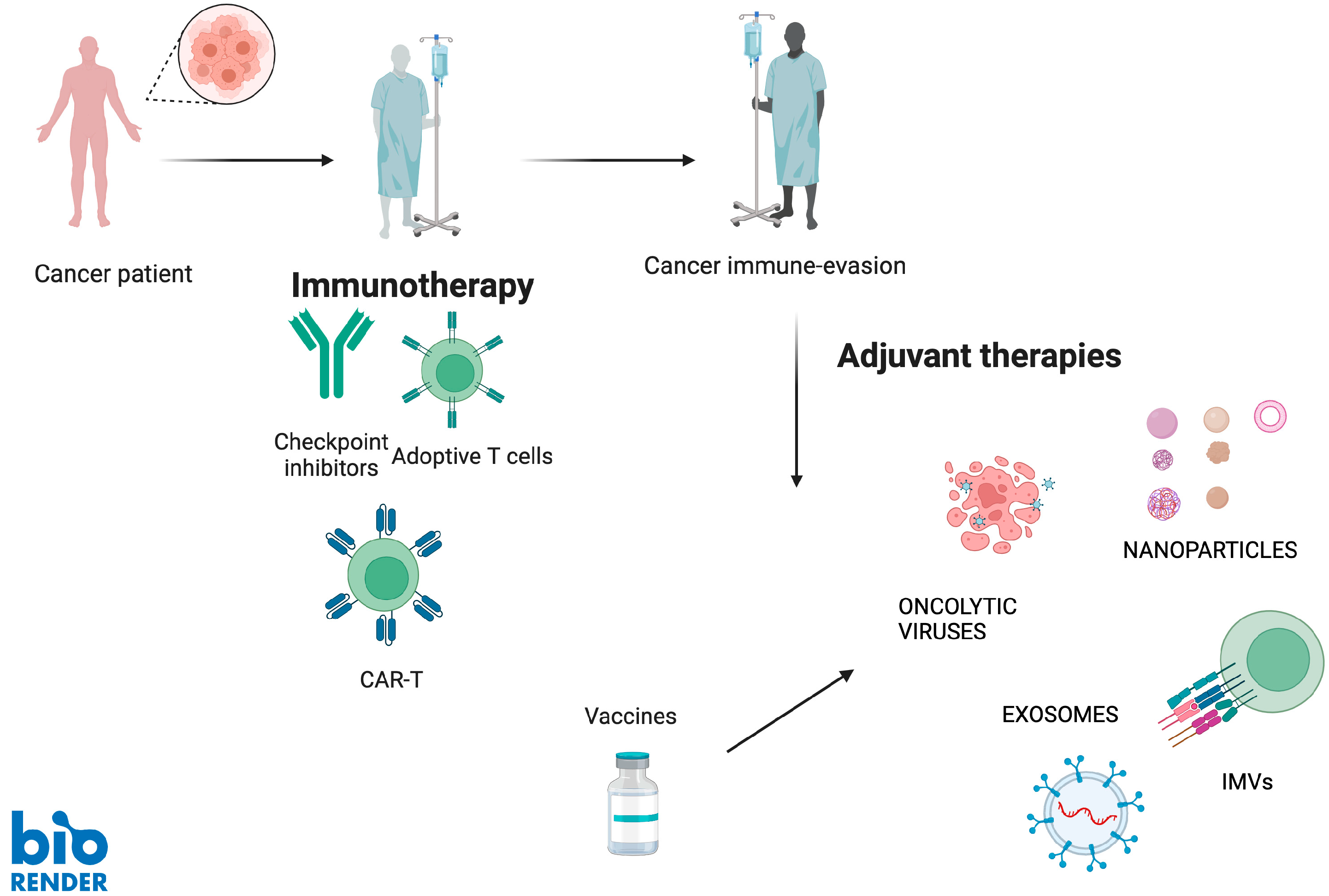 Vaccines 13 00591 g002