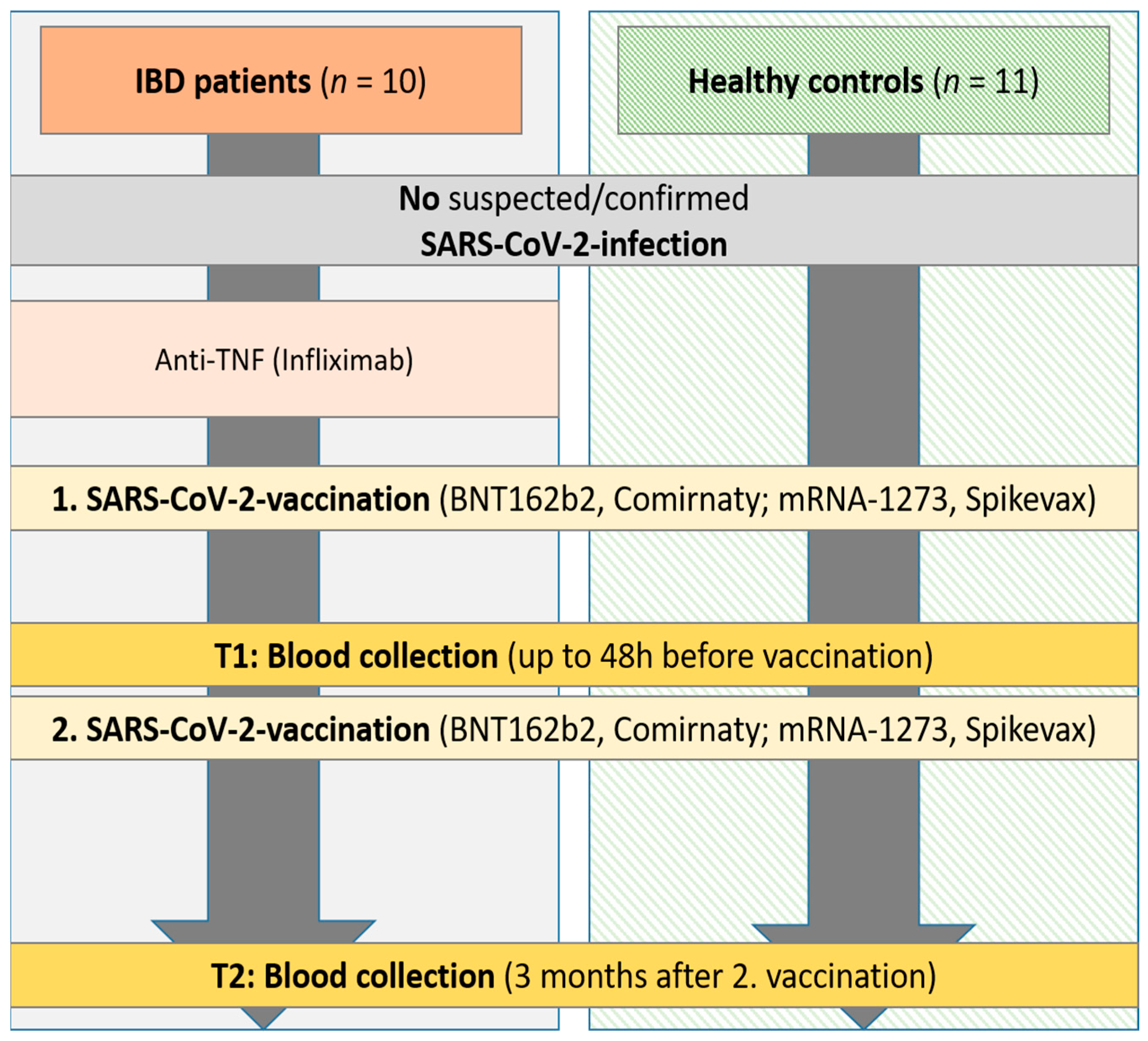 Vaccines 13 00595 g001