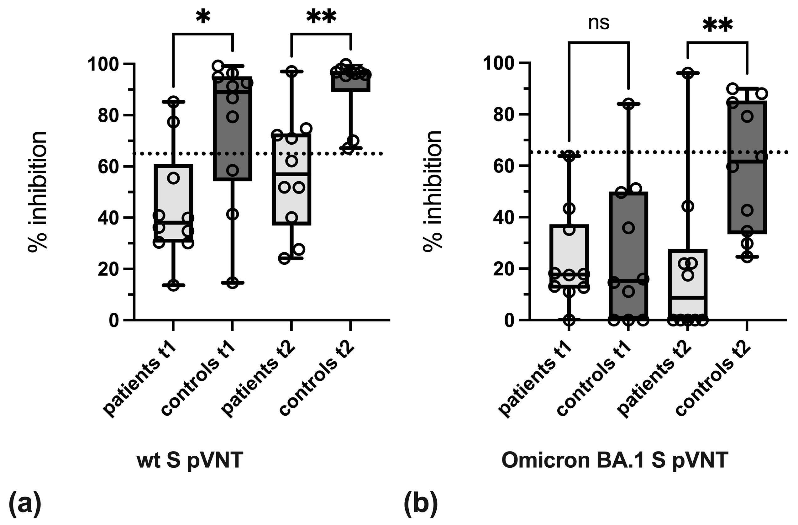 Vaccines 13 00595 g003