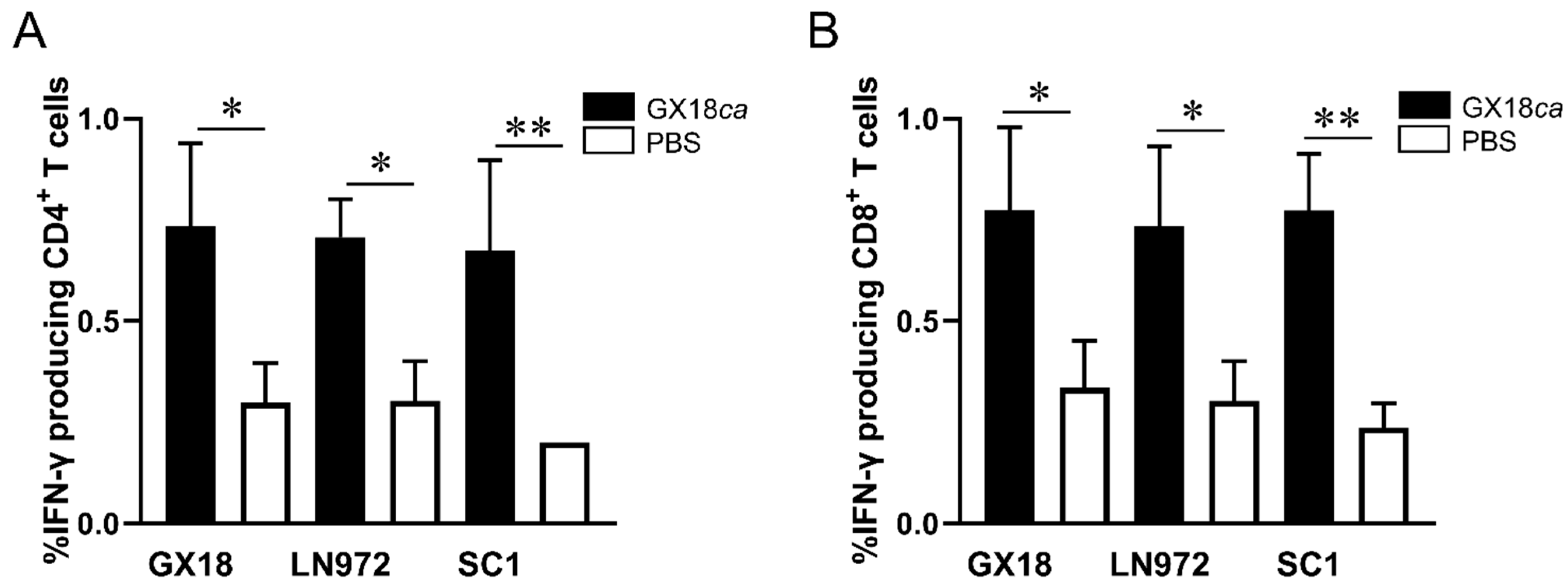 Vaccines 13 00596 g003 Vaccines 13 00596 g003