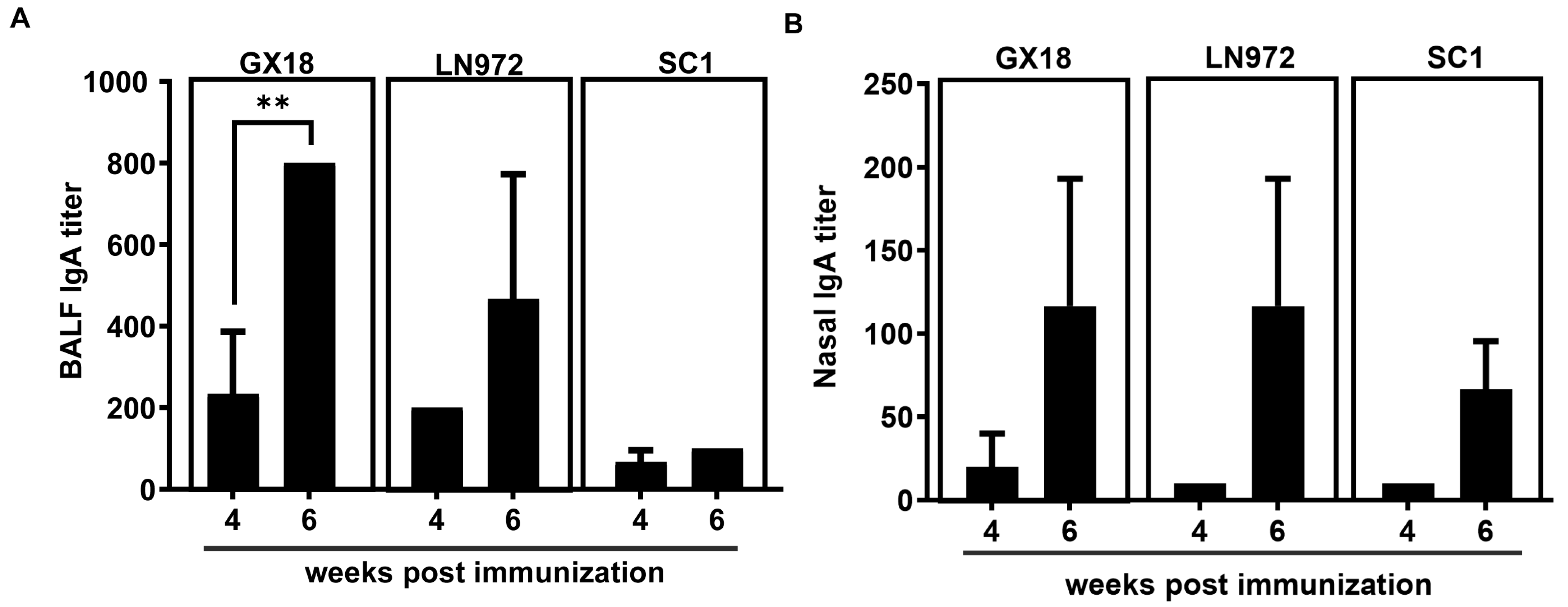 Vaccines 13 00596 g004 Vaccines 13 00596 g004