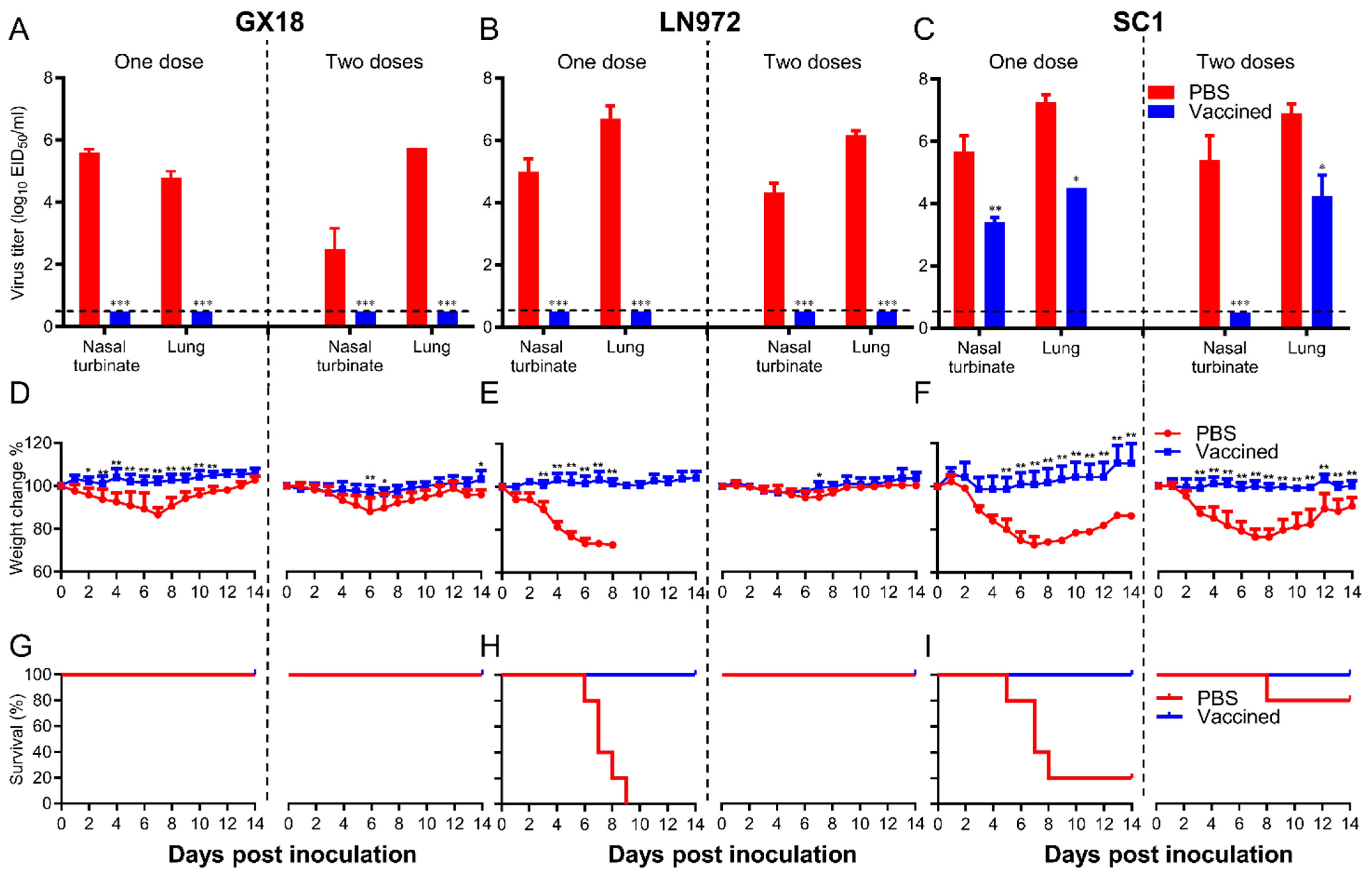 Vaccines 13 00596 g007 Vaccines 13 00596 g007