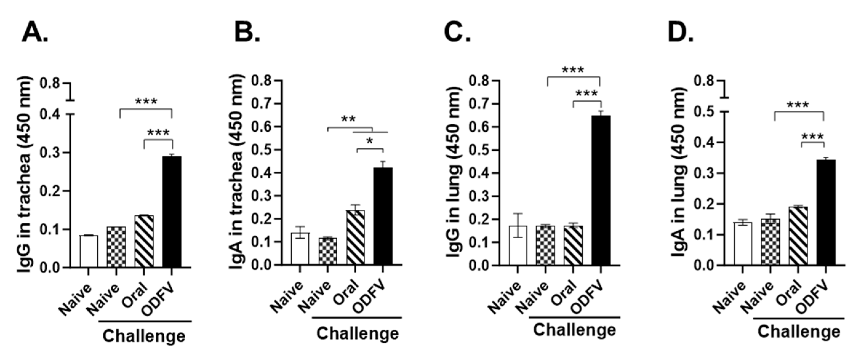 Vaccines 13 00600 g003
