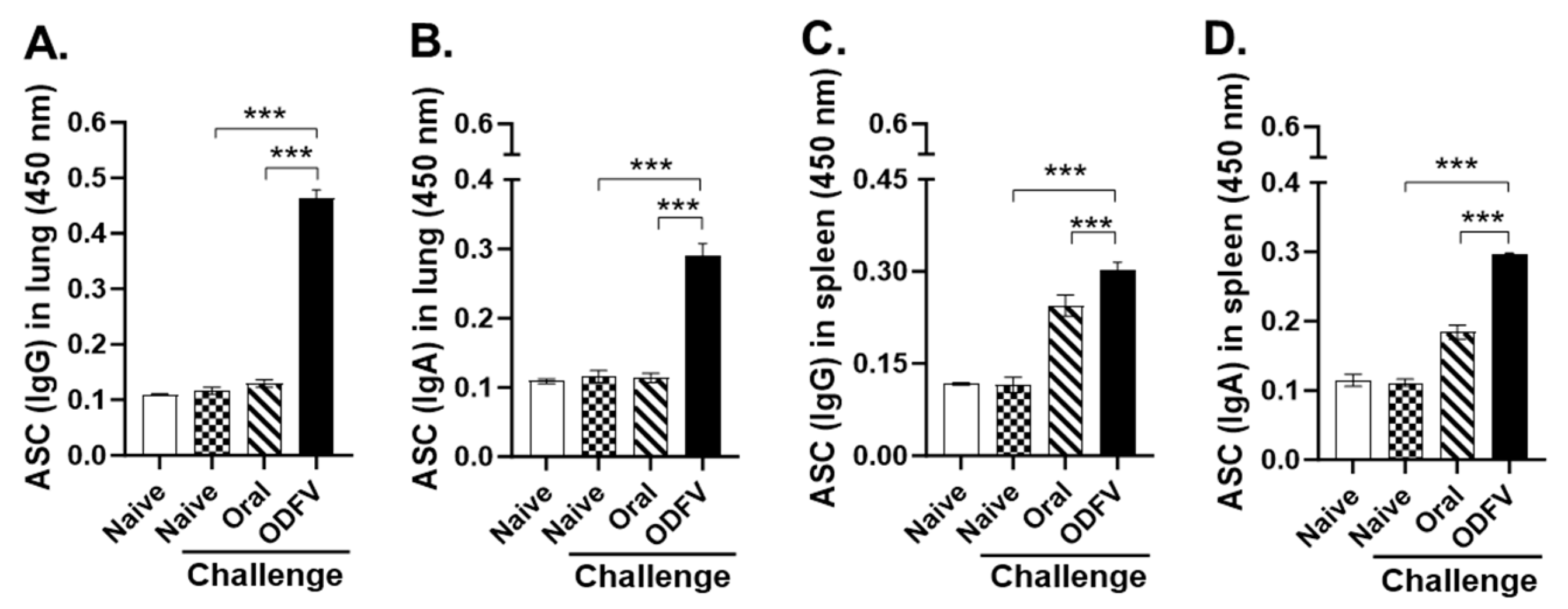 Vaccines 13 00600 g004