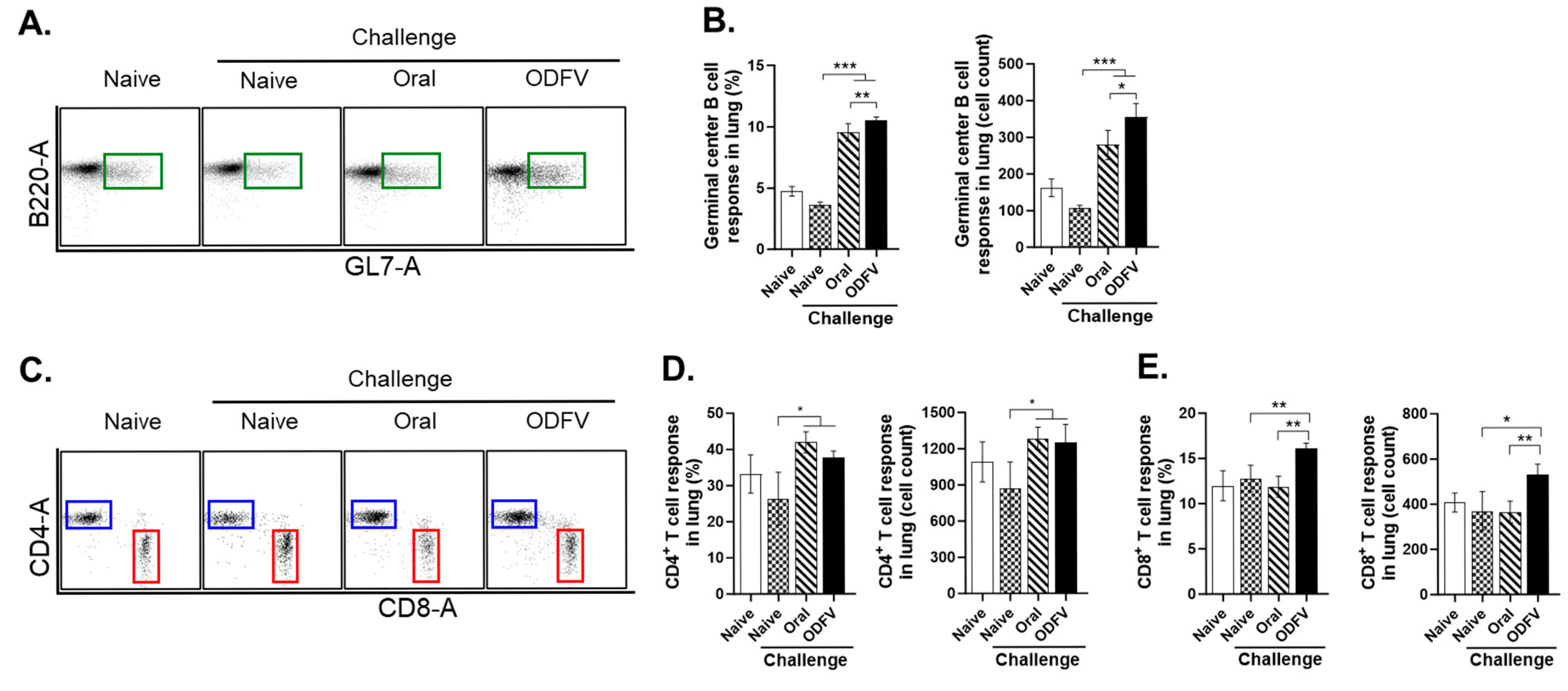 Vaccines 13 00600 g005