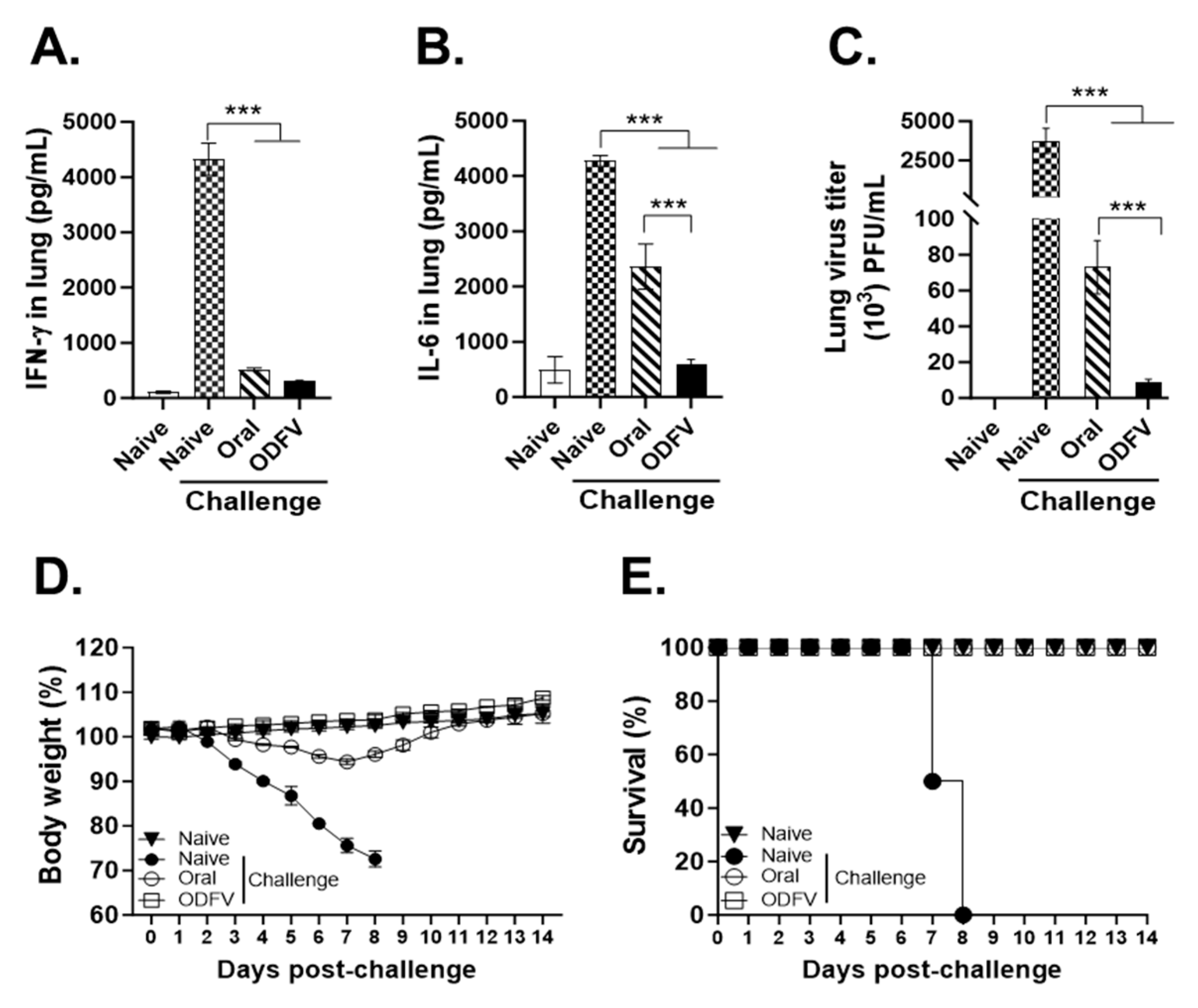 Vaccines 13 00600 g006