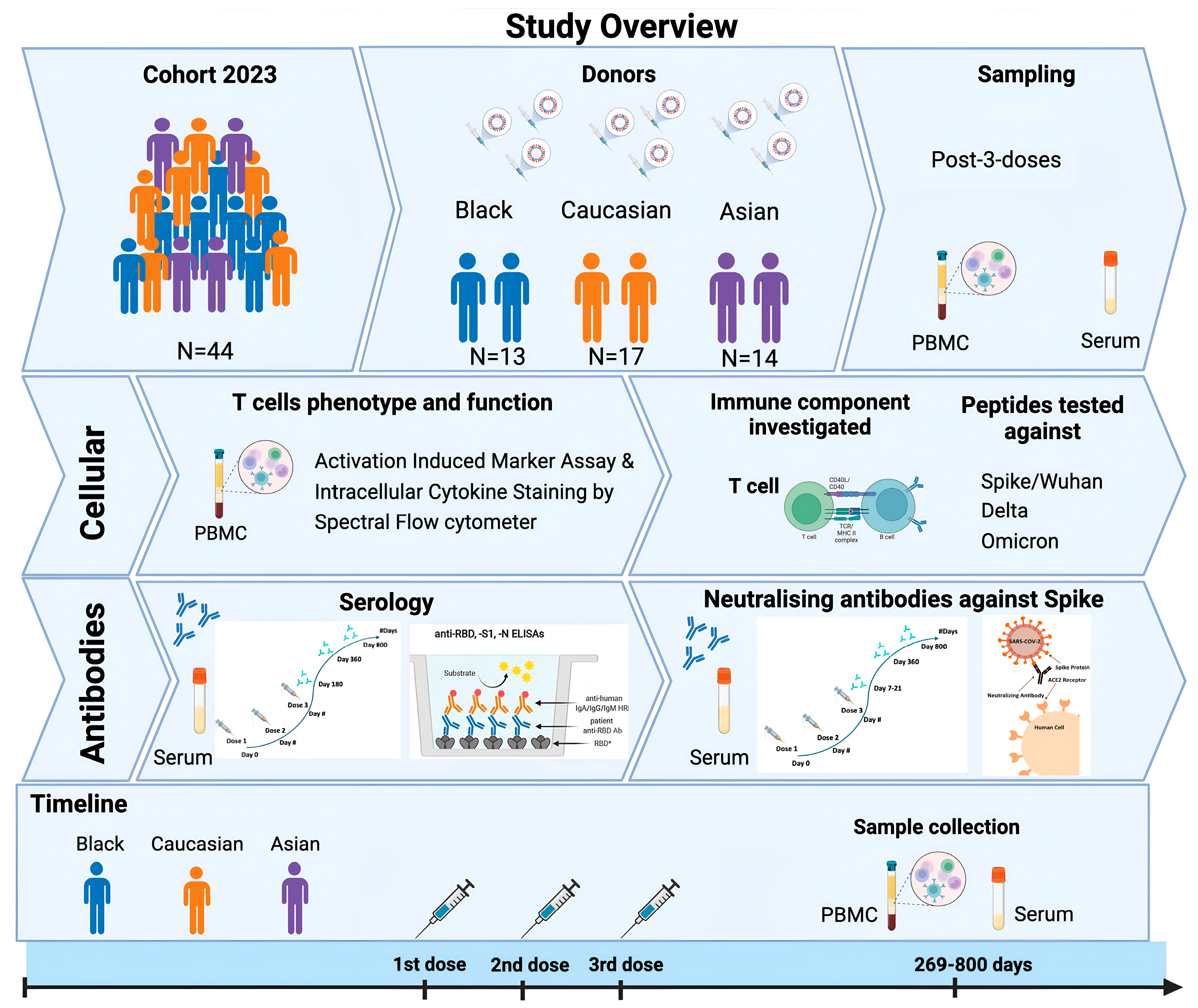 Vaccines 13 00607 g001