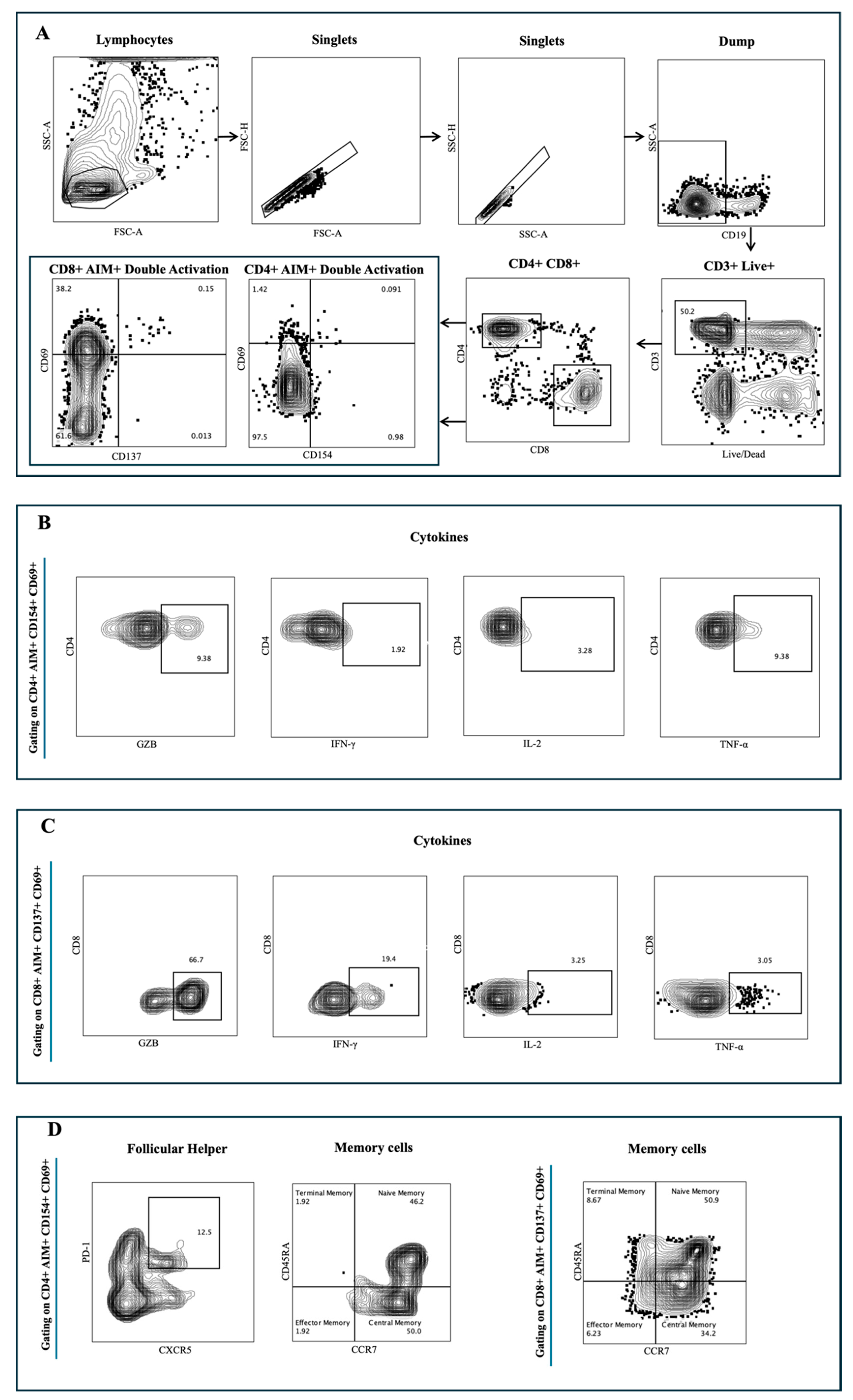Vaccines 13 00607 g0a1